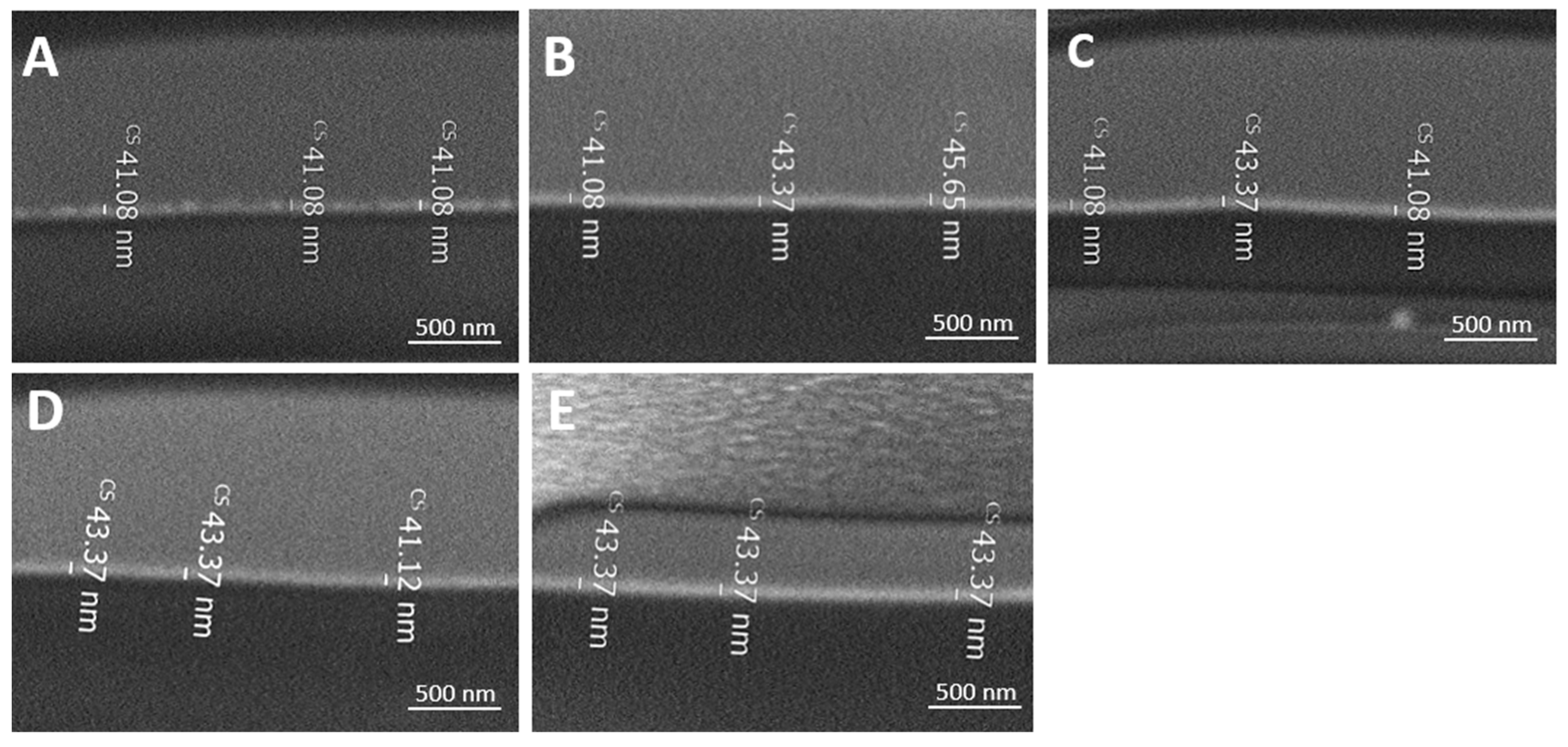 Molecules 29 00958 g007