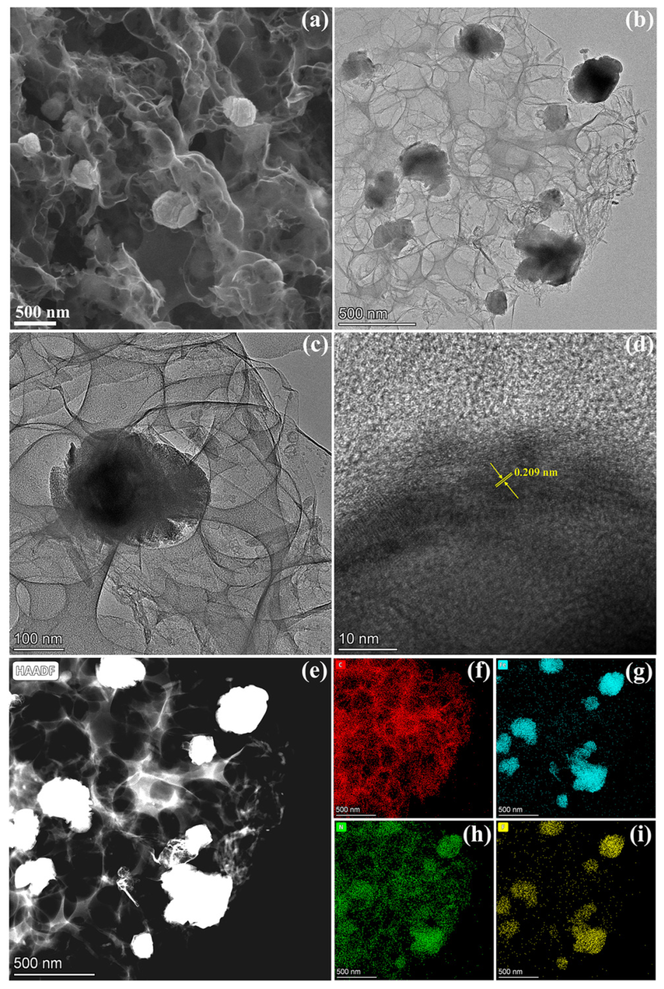Molecules 29 00959 g003 Molecules 29 00959 g003