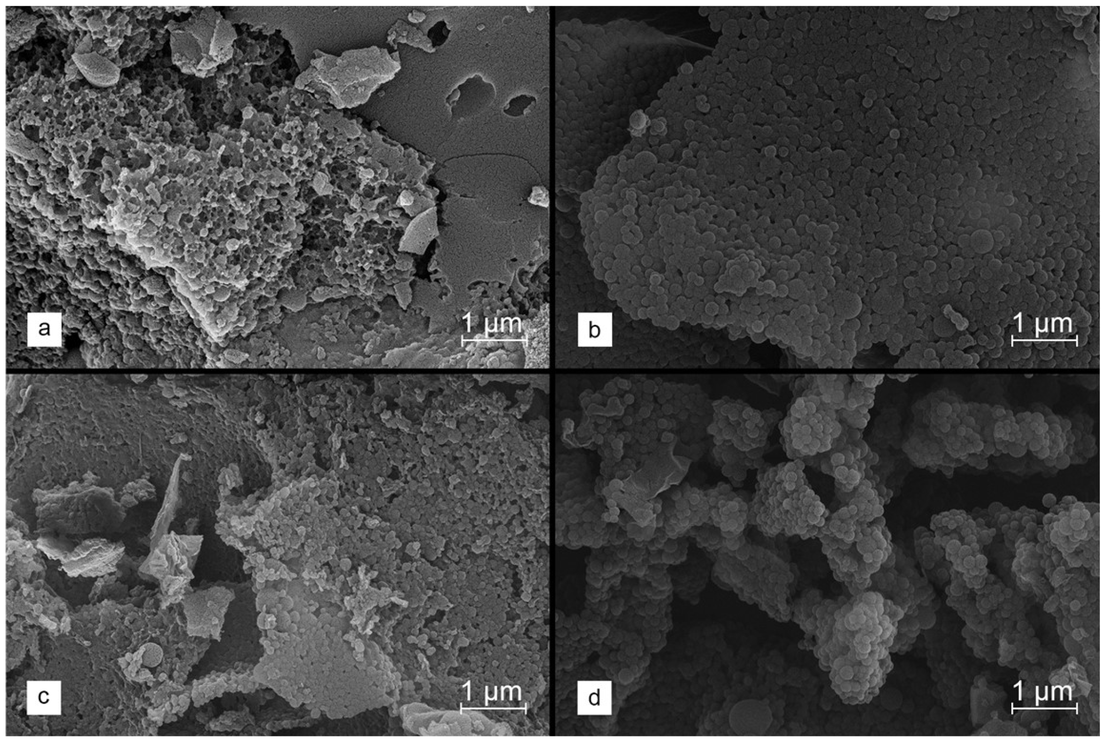 Molecules 29 00960 g003