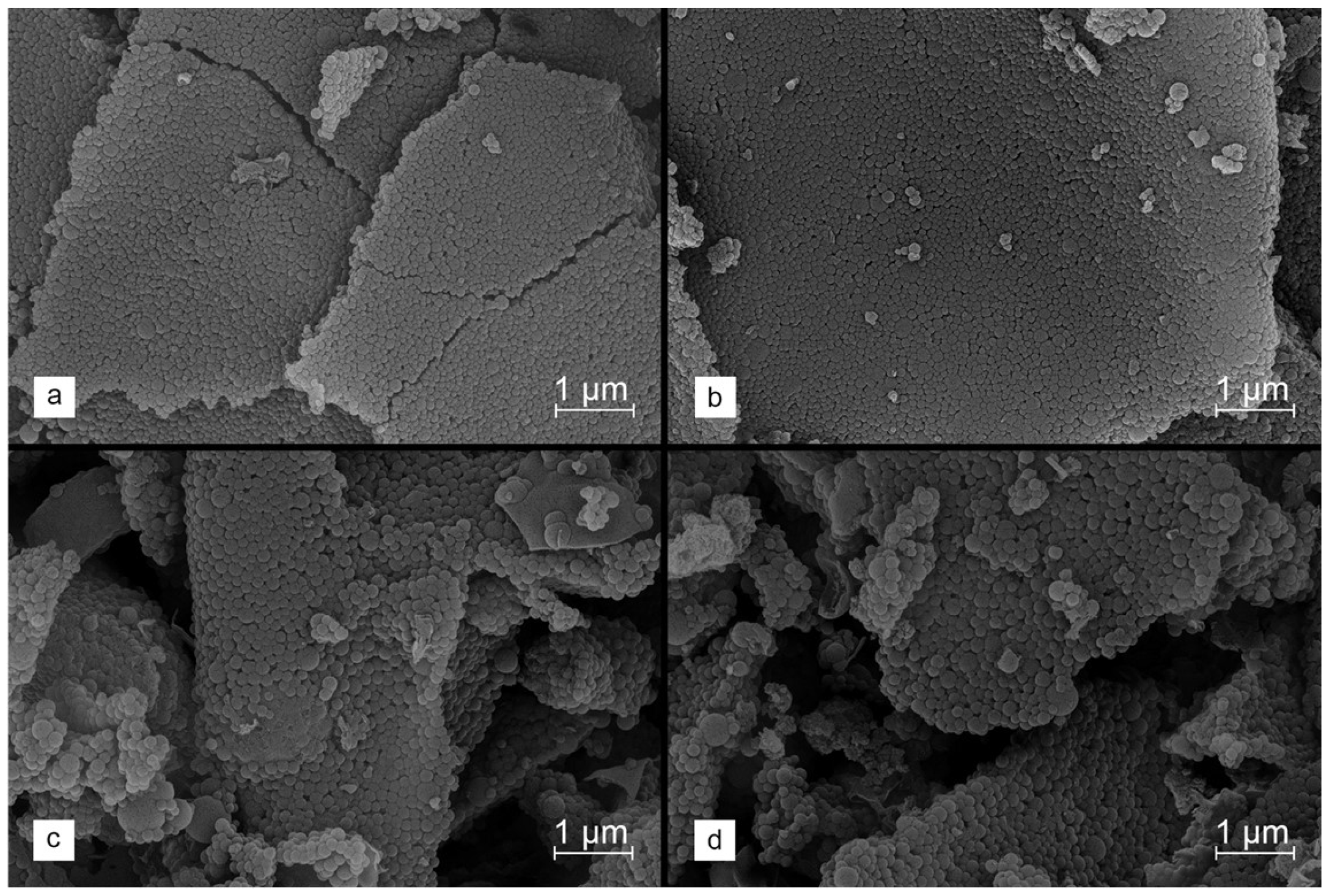 Molecules 29 00960 g004