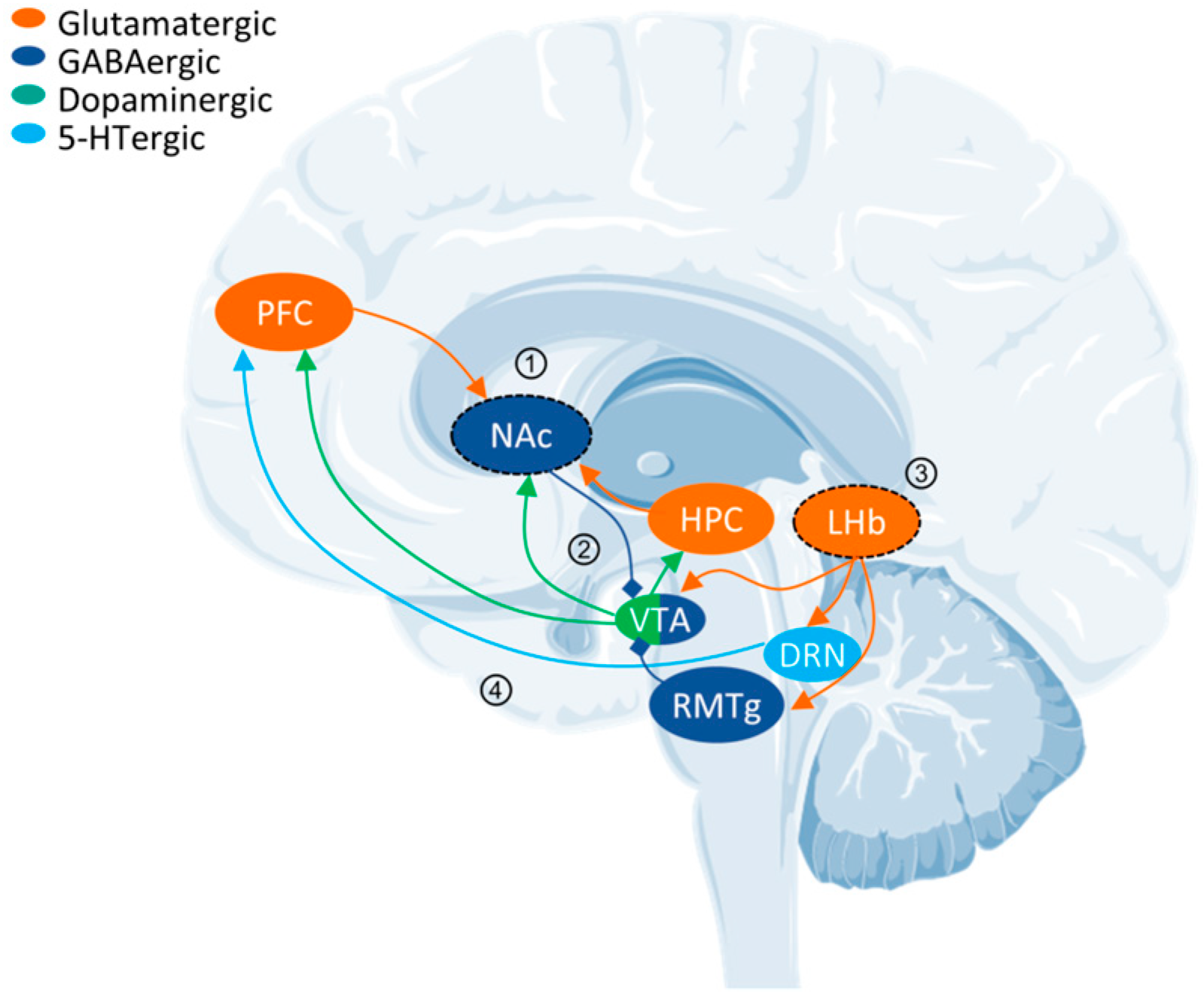 Molecules 29 00964 g001