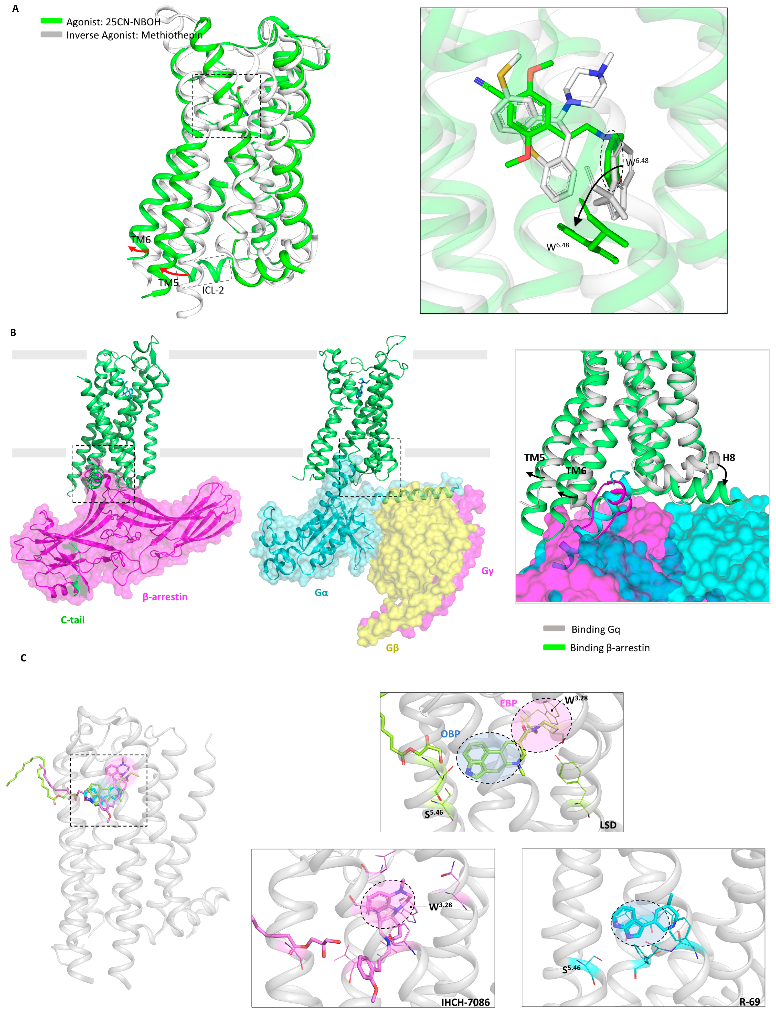 Molecules 29 00964 g003