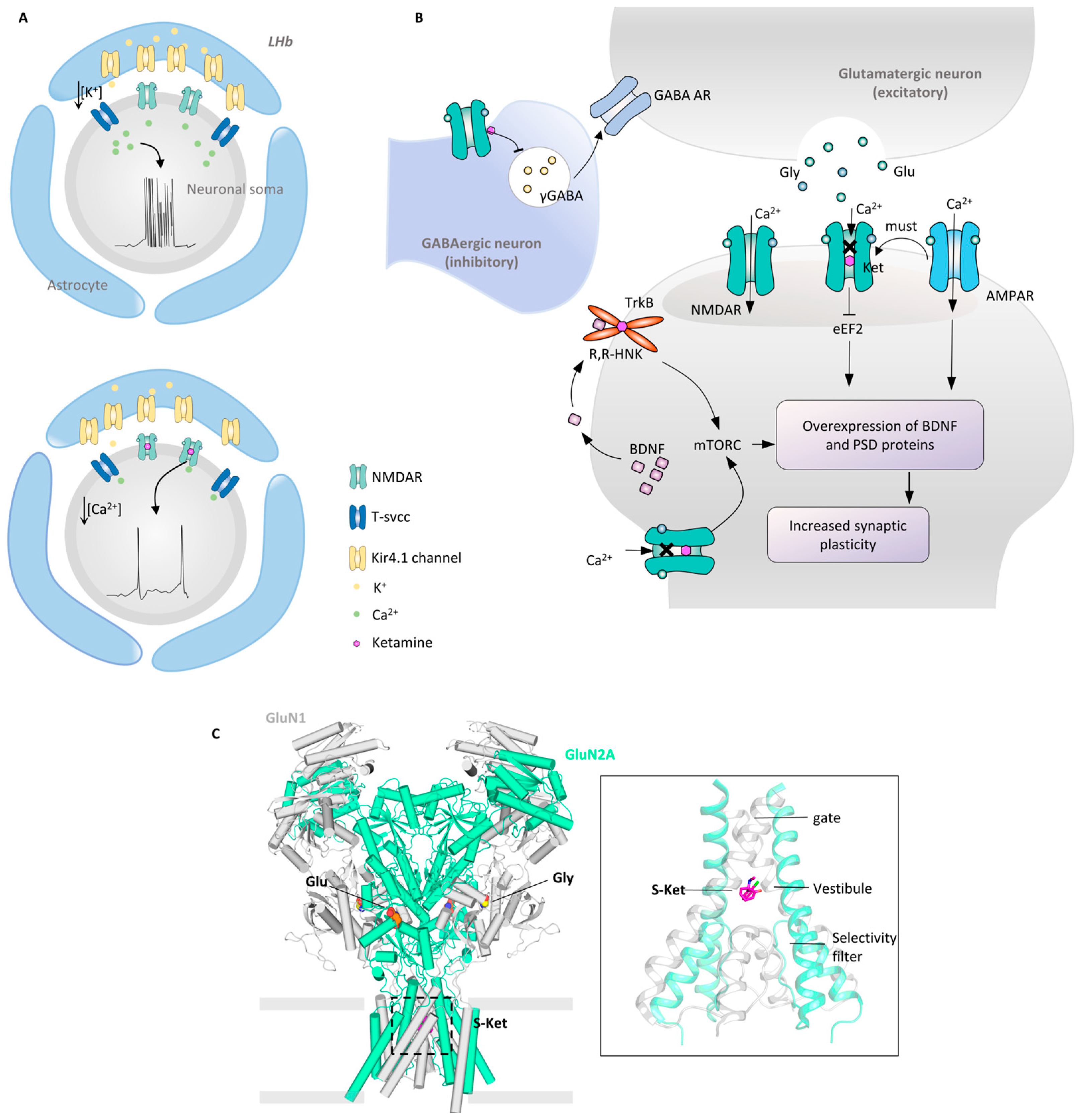 Molecules 29 00964 g005