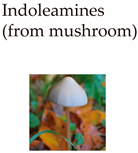 Molecules 29 00964 i003