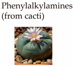 Molecules 29 00964 i005