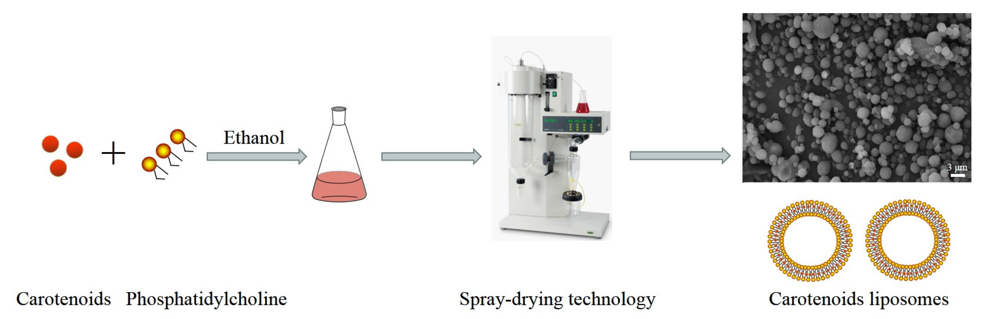 Molecules 29 00967 g004