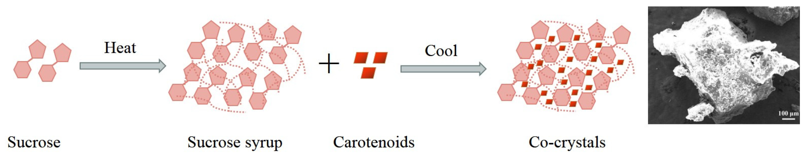 Molecules 29 00967 g005