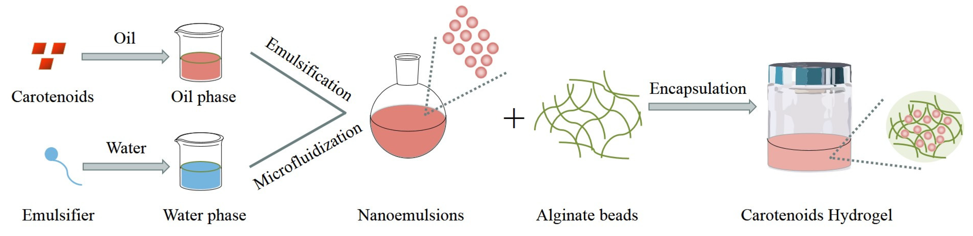 Molecules 29 00967 g006