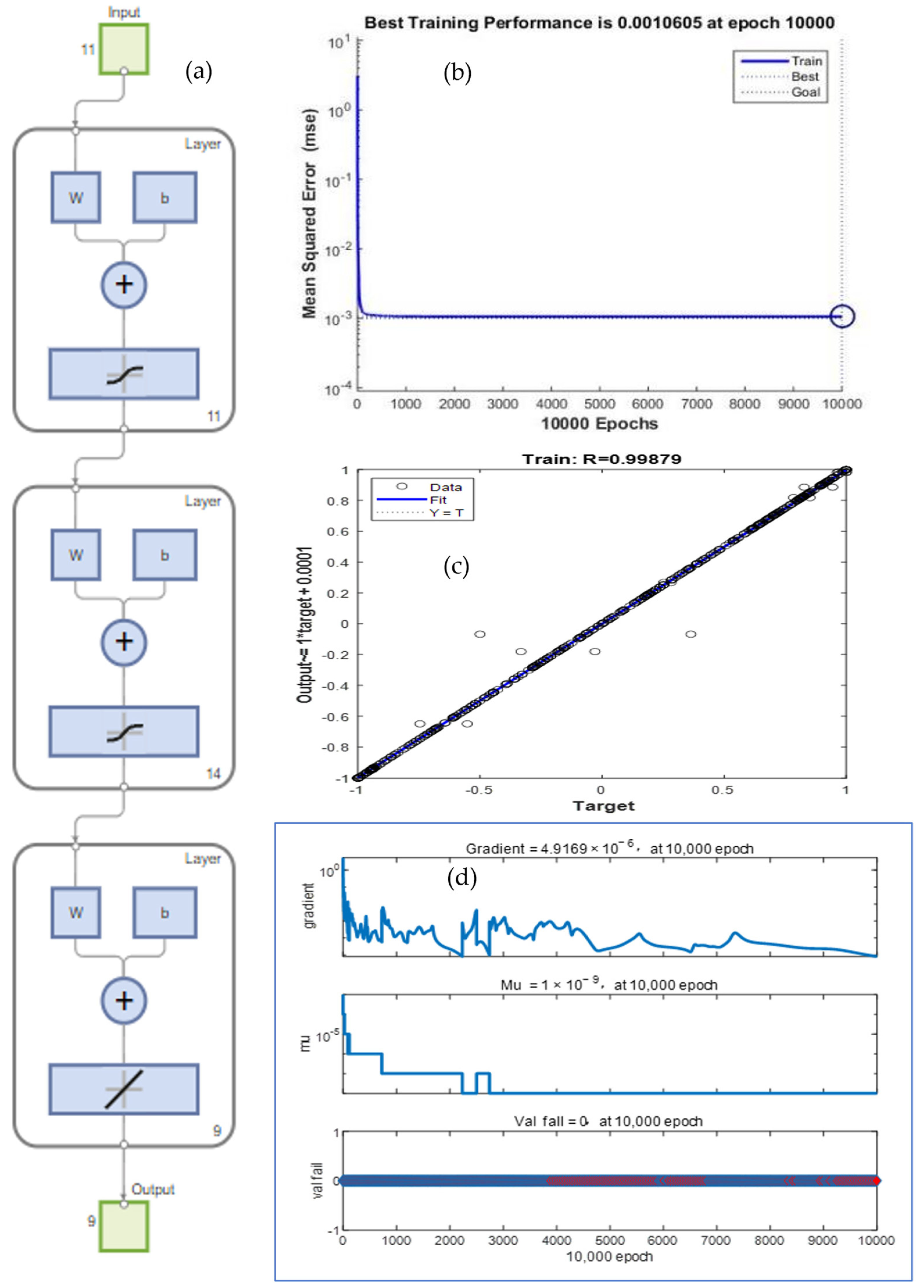 Molecules 29 00970 g001
