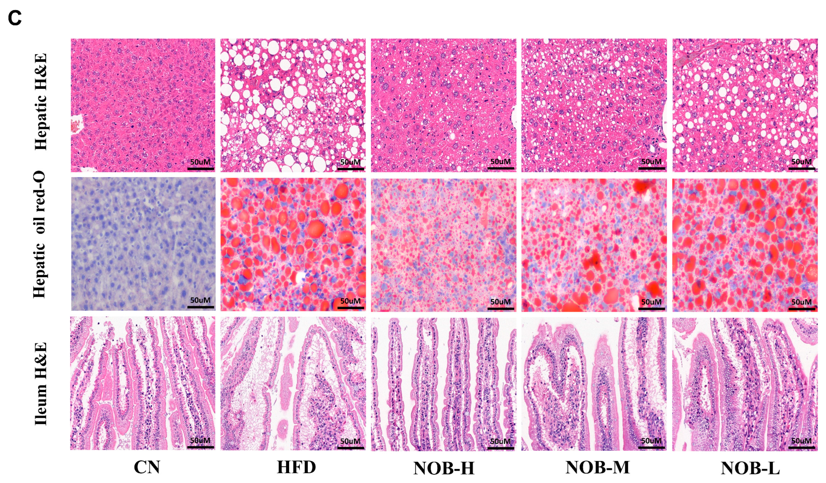 Molecules 29 00976 g002b