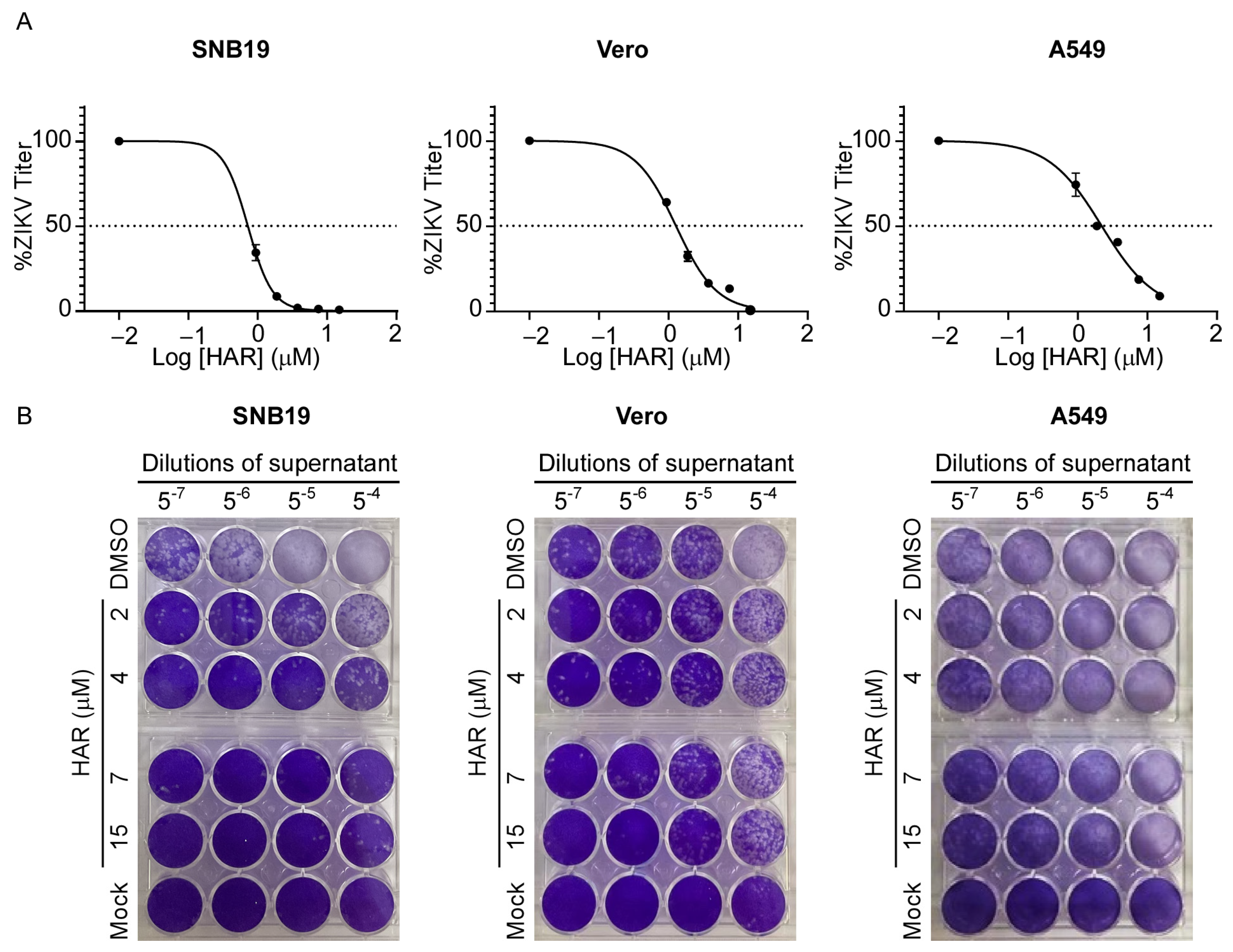 Molecules 29 00978 g002 Molecules 29 00978 g002