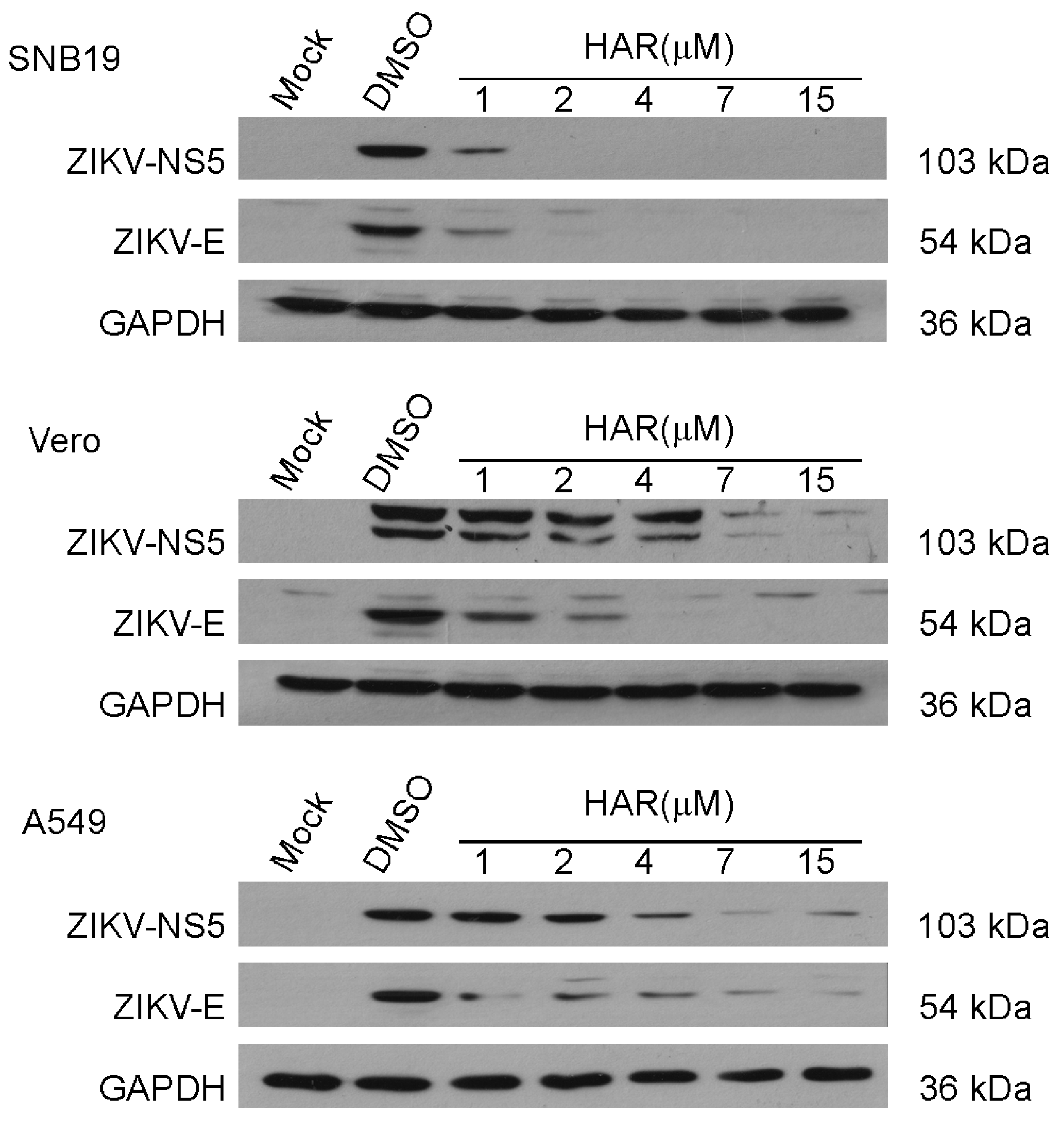 Molecules 29 00978 g003 Molecules 29 00978 g003