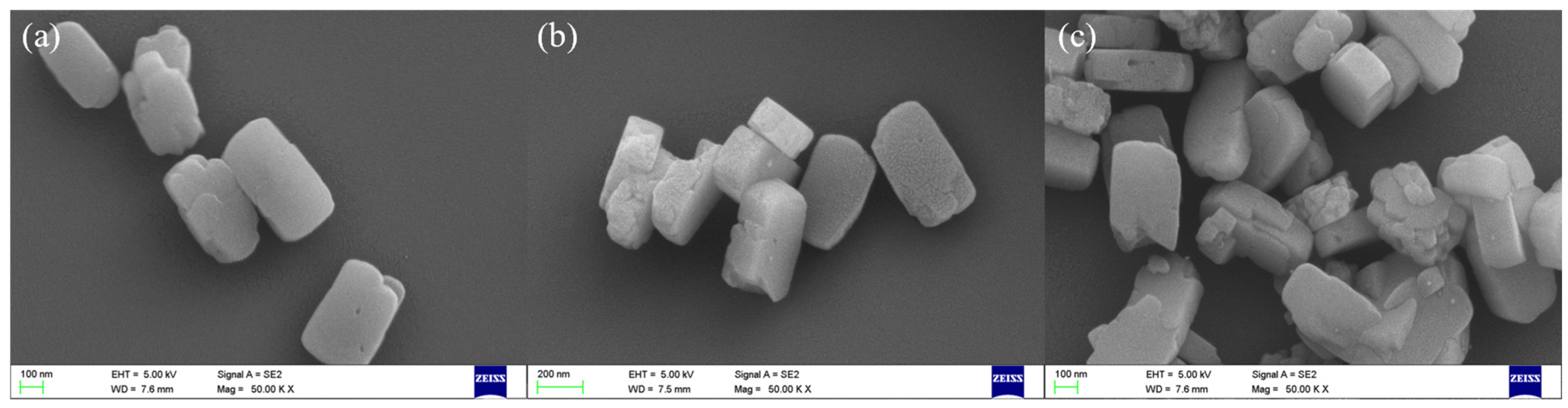 Molecules 29 00981 g002