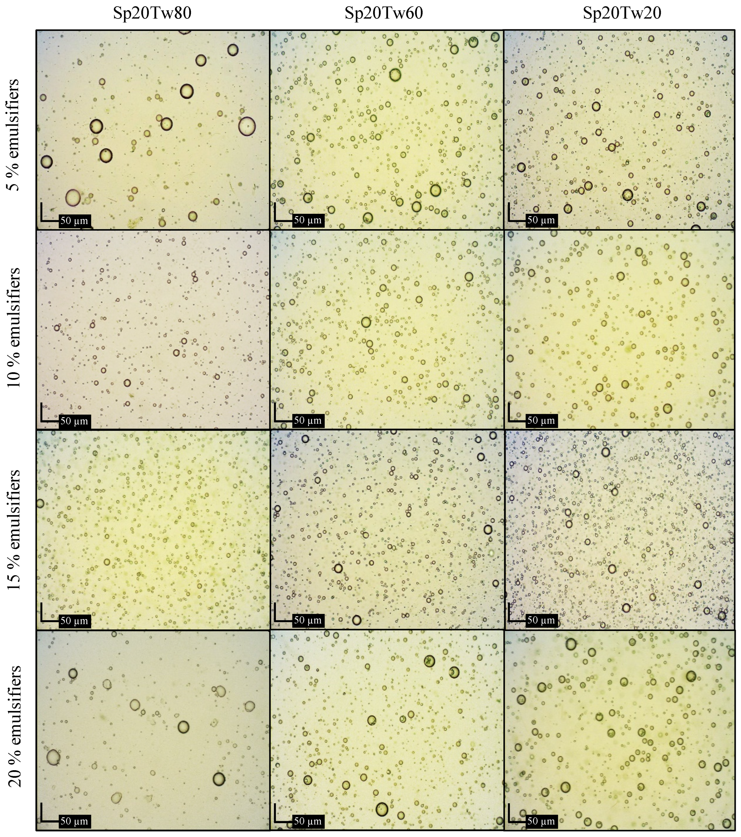 Molecules 29 00982 g006