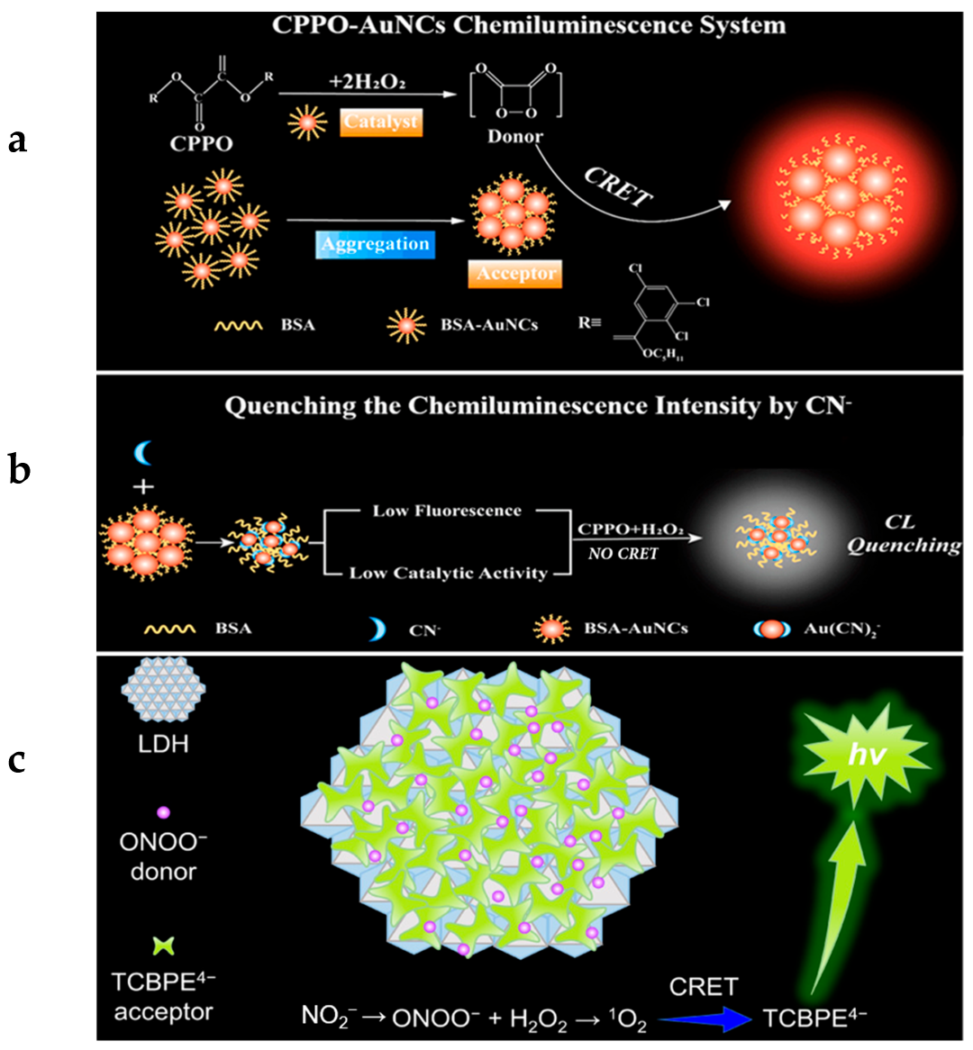 Molecules 29 00983 g002