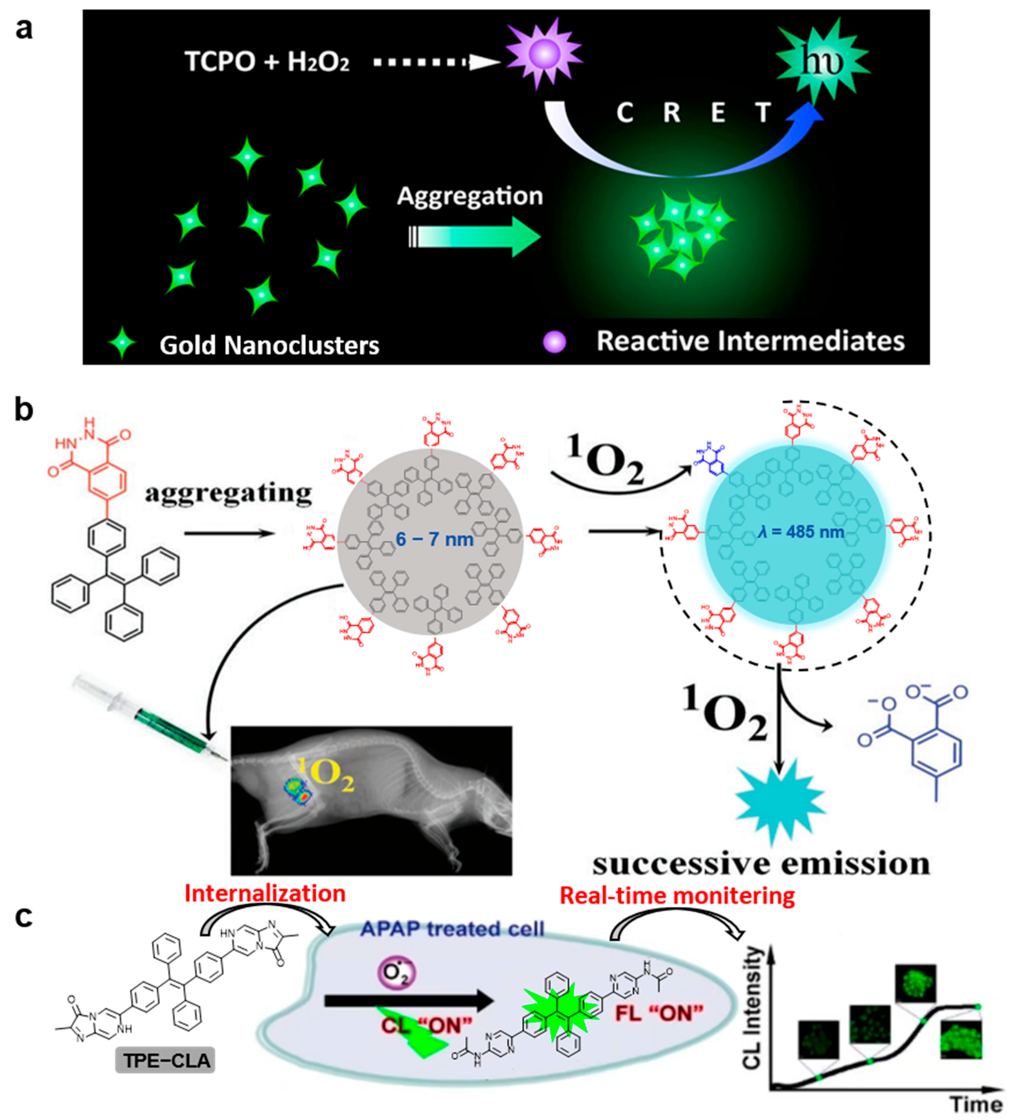 Molecules 29 00983 g003