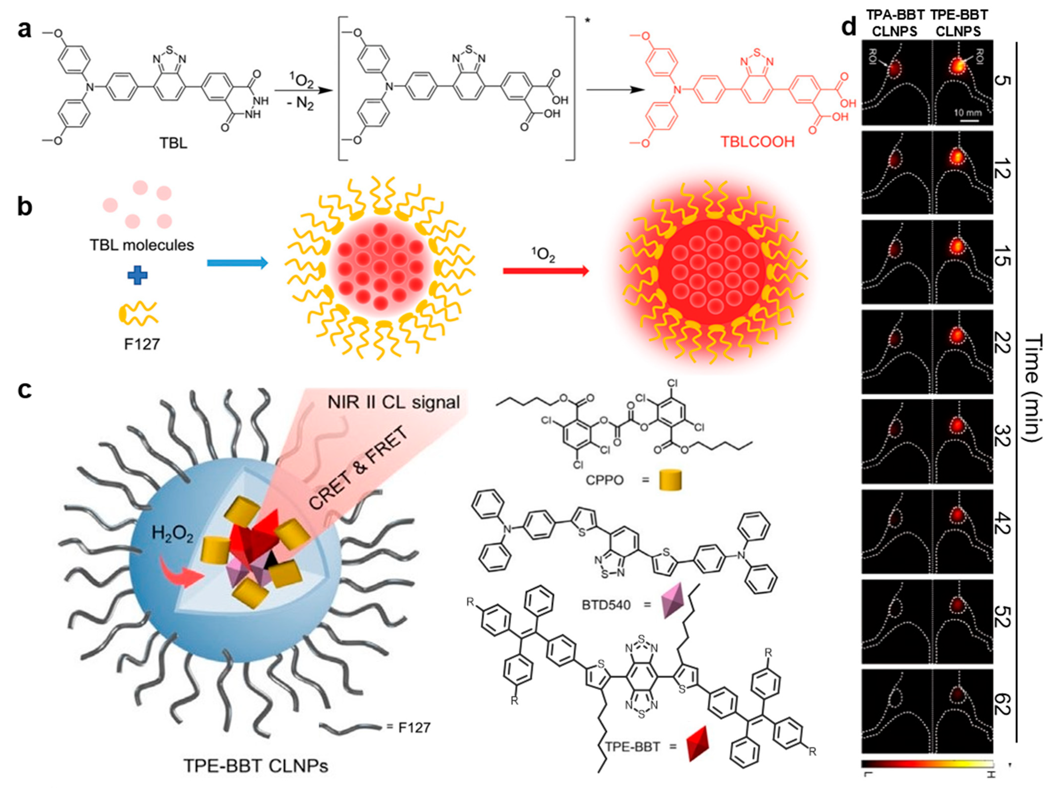 Molecules 29 00983 g006