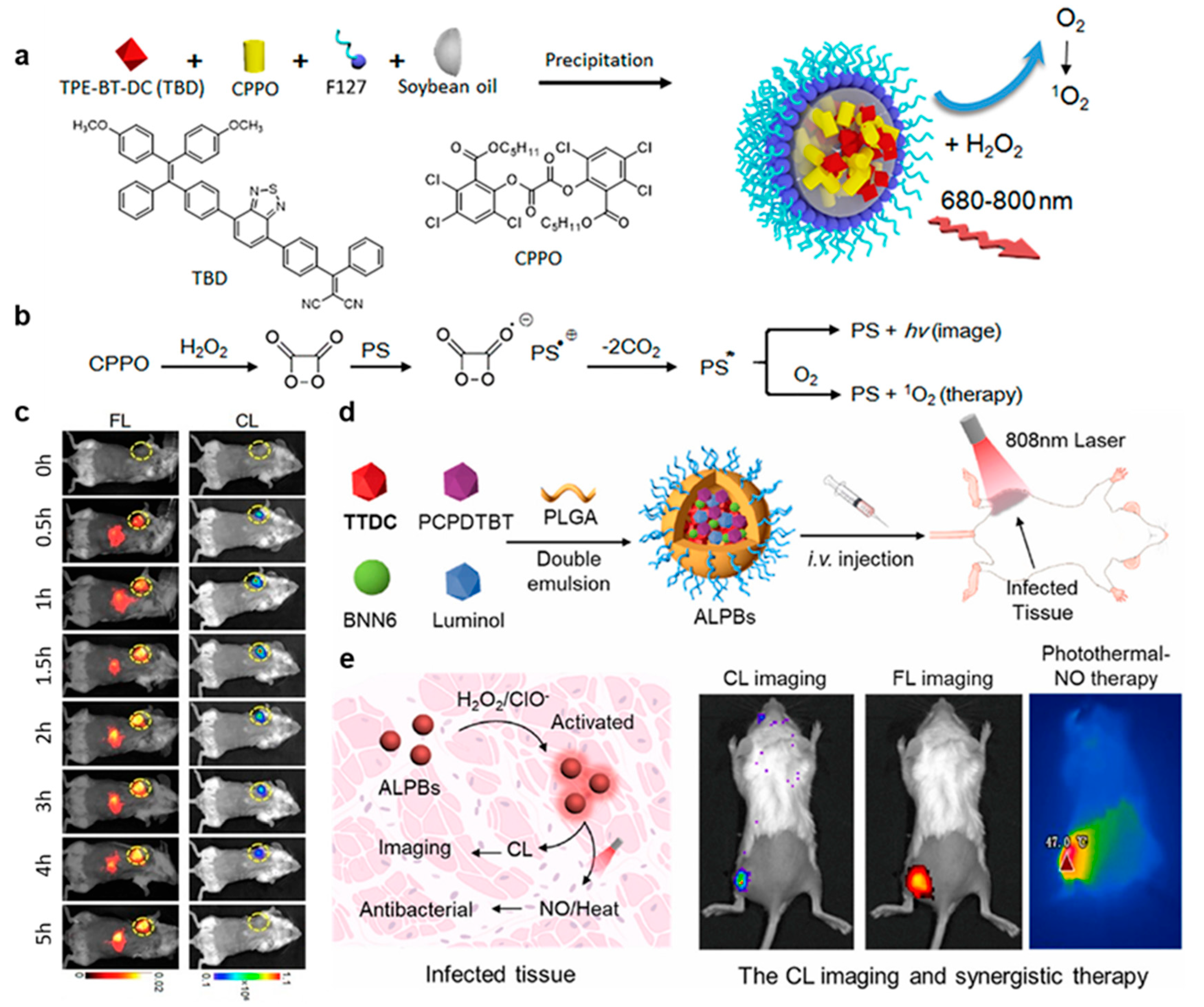 Molecules 29 00983 g007
