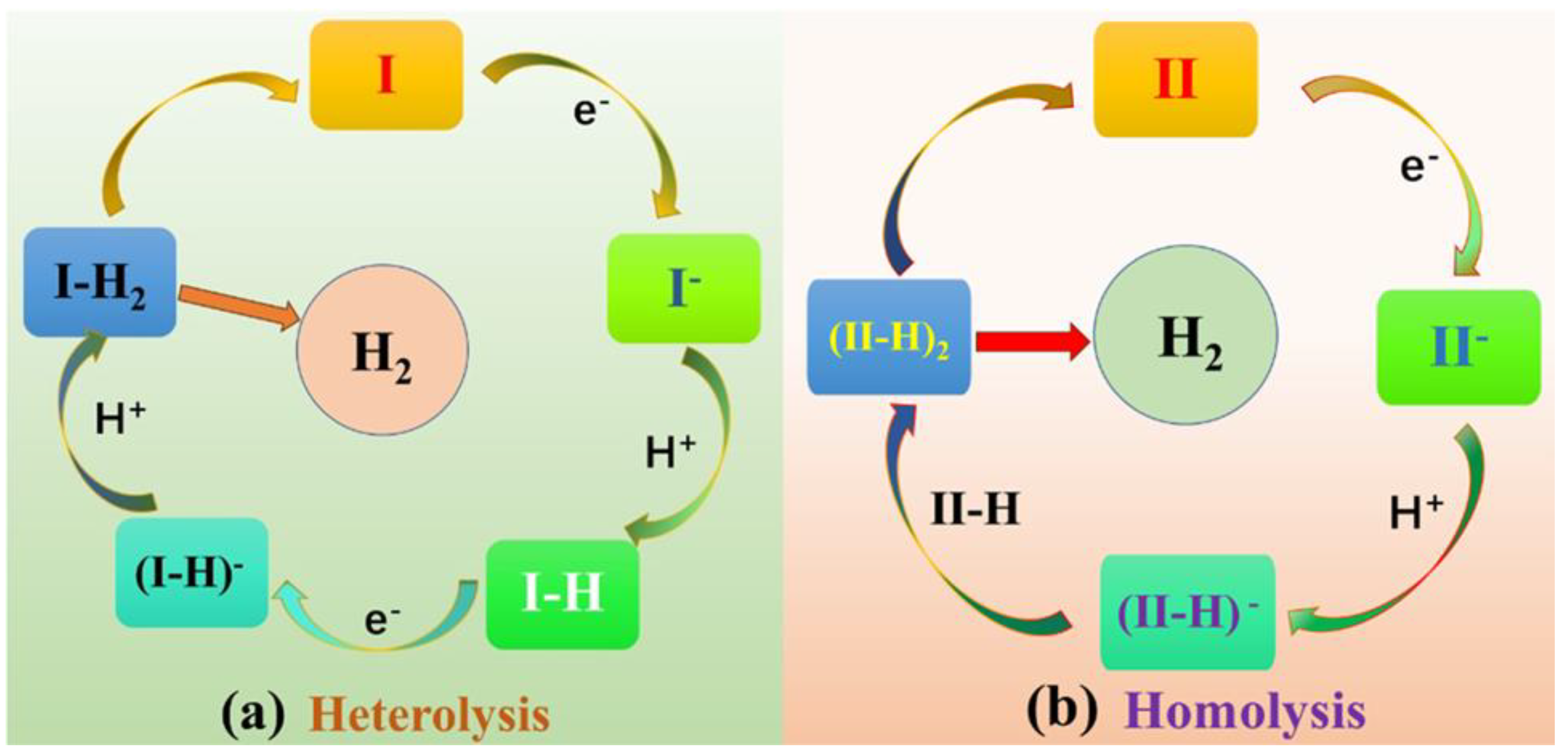 Molecules 29 00986 g002