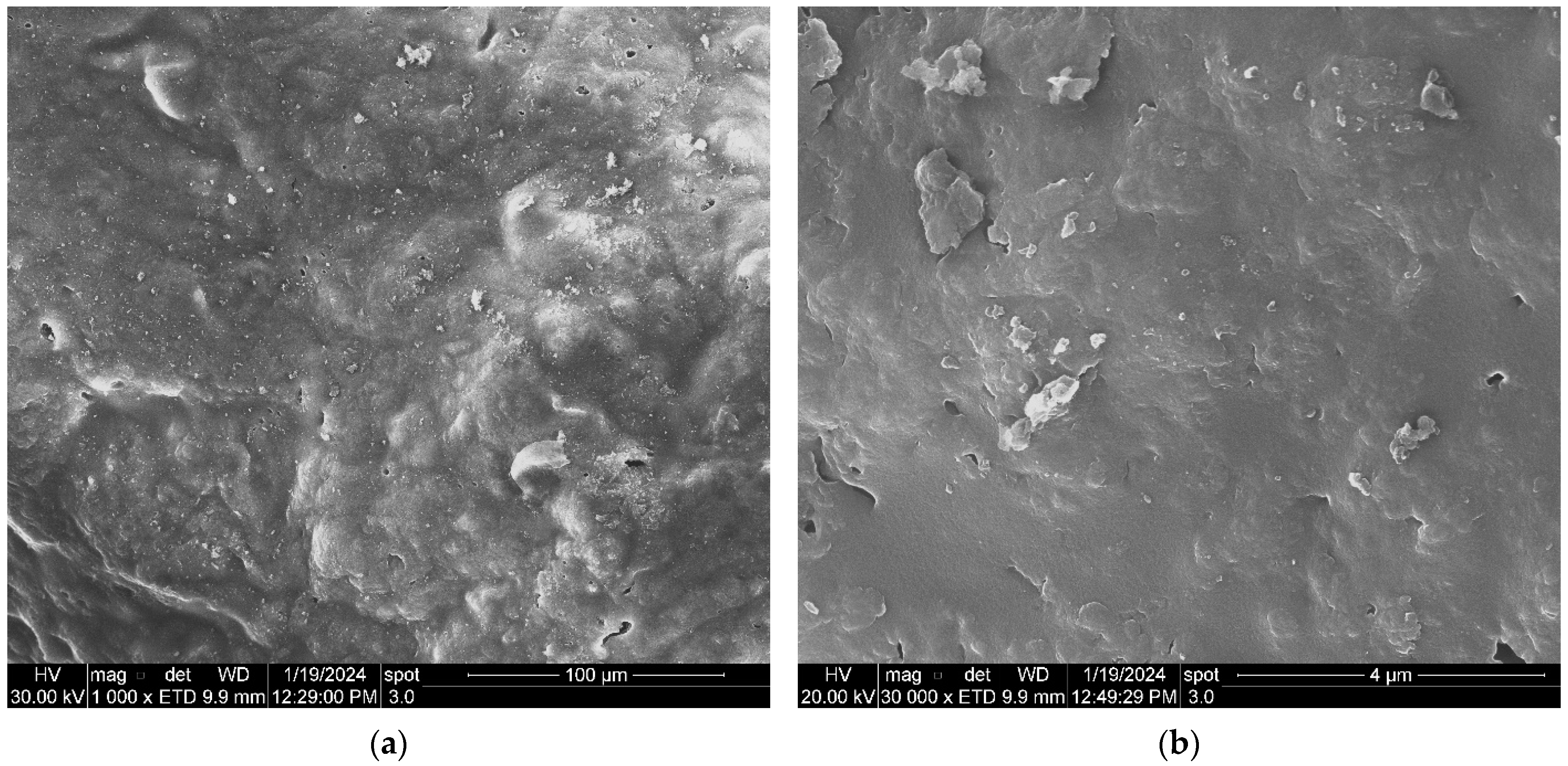 Molecules 29 00990 g002
