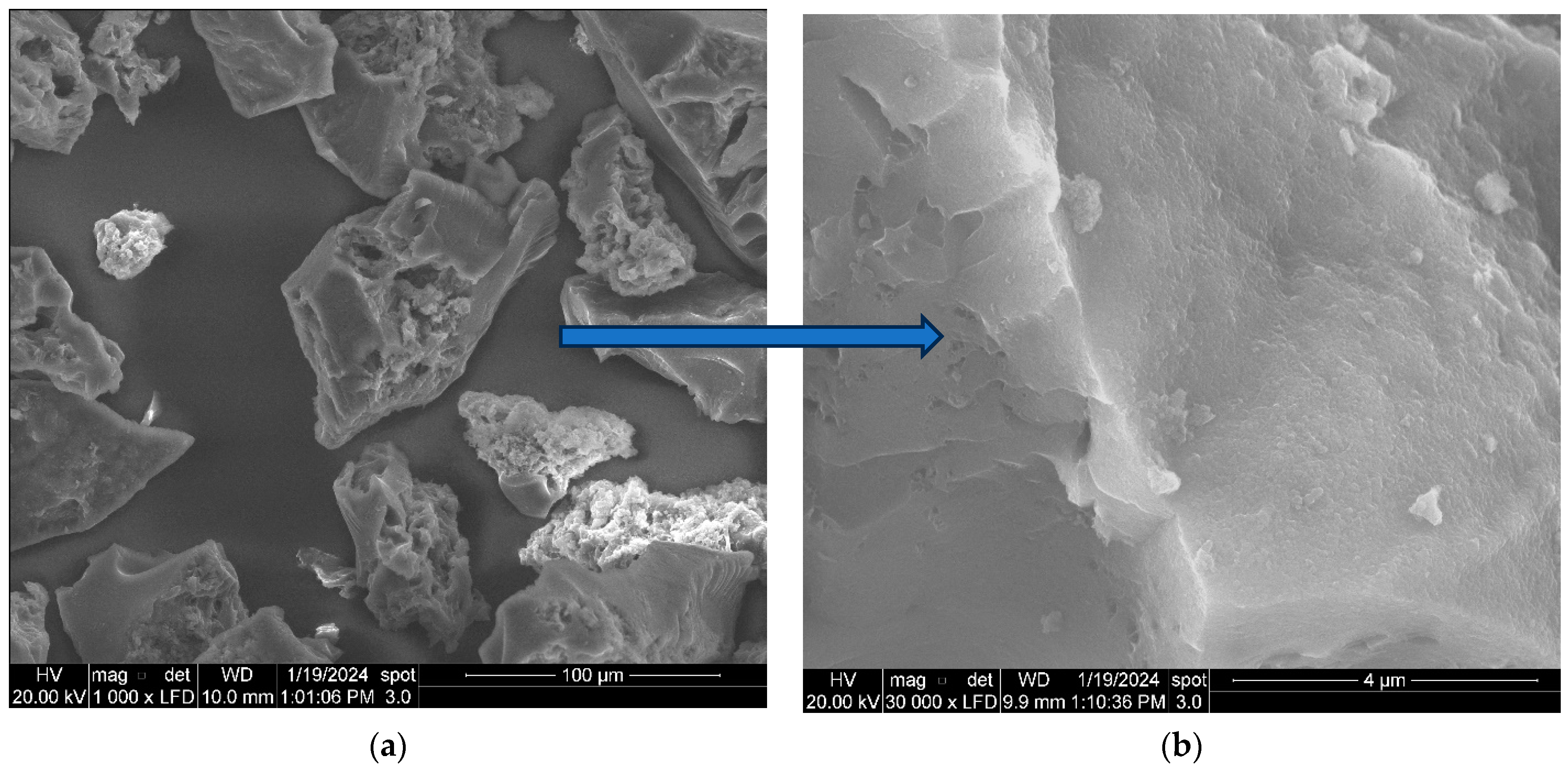 Molecules 29 00990 g003