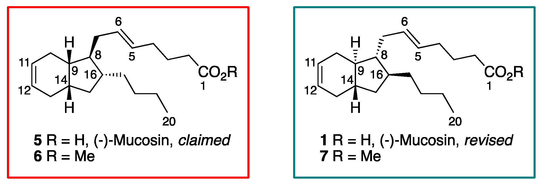 Molecules 29 00994 g002