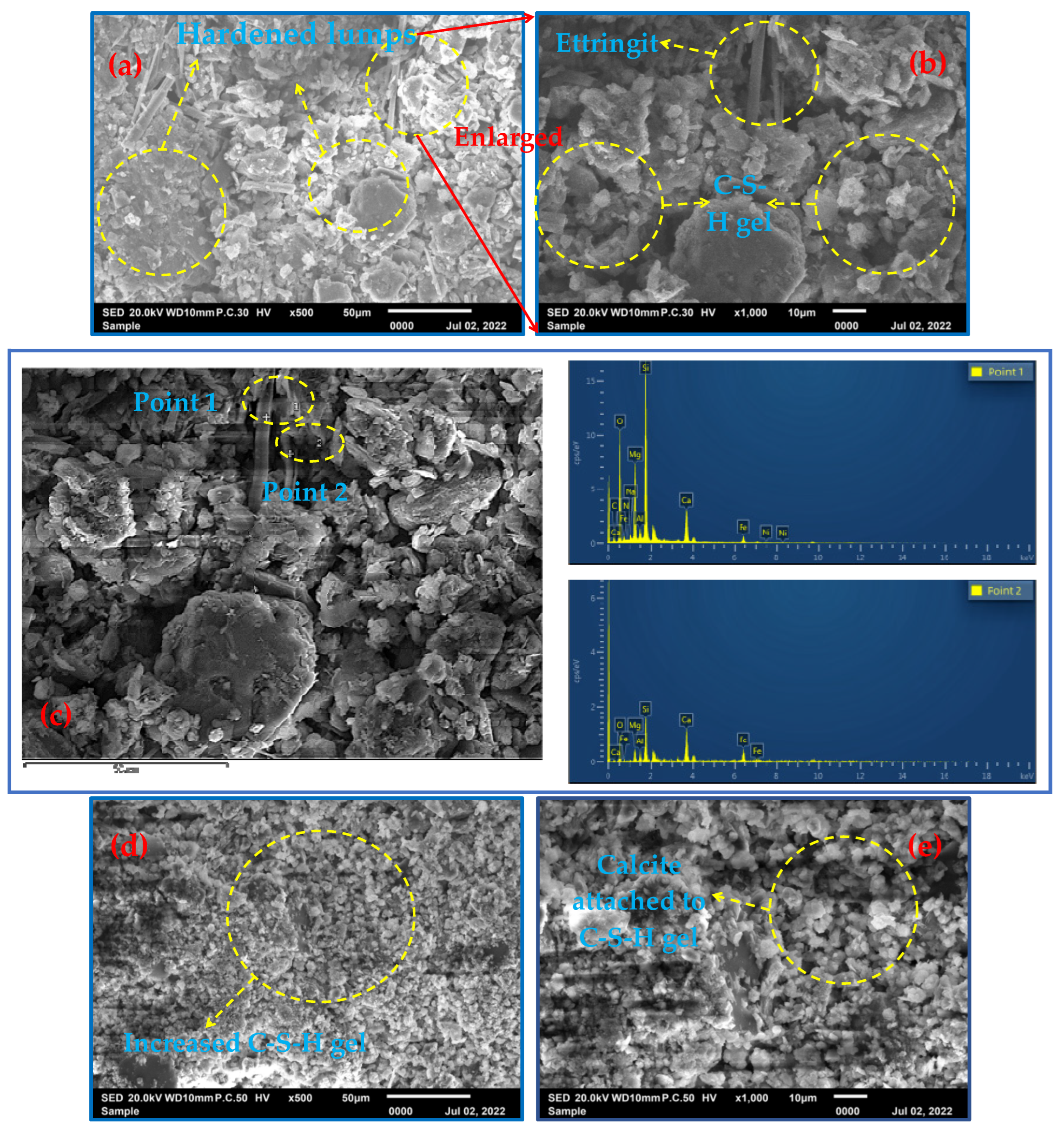 Molecules 29 00996 g005a