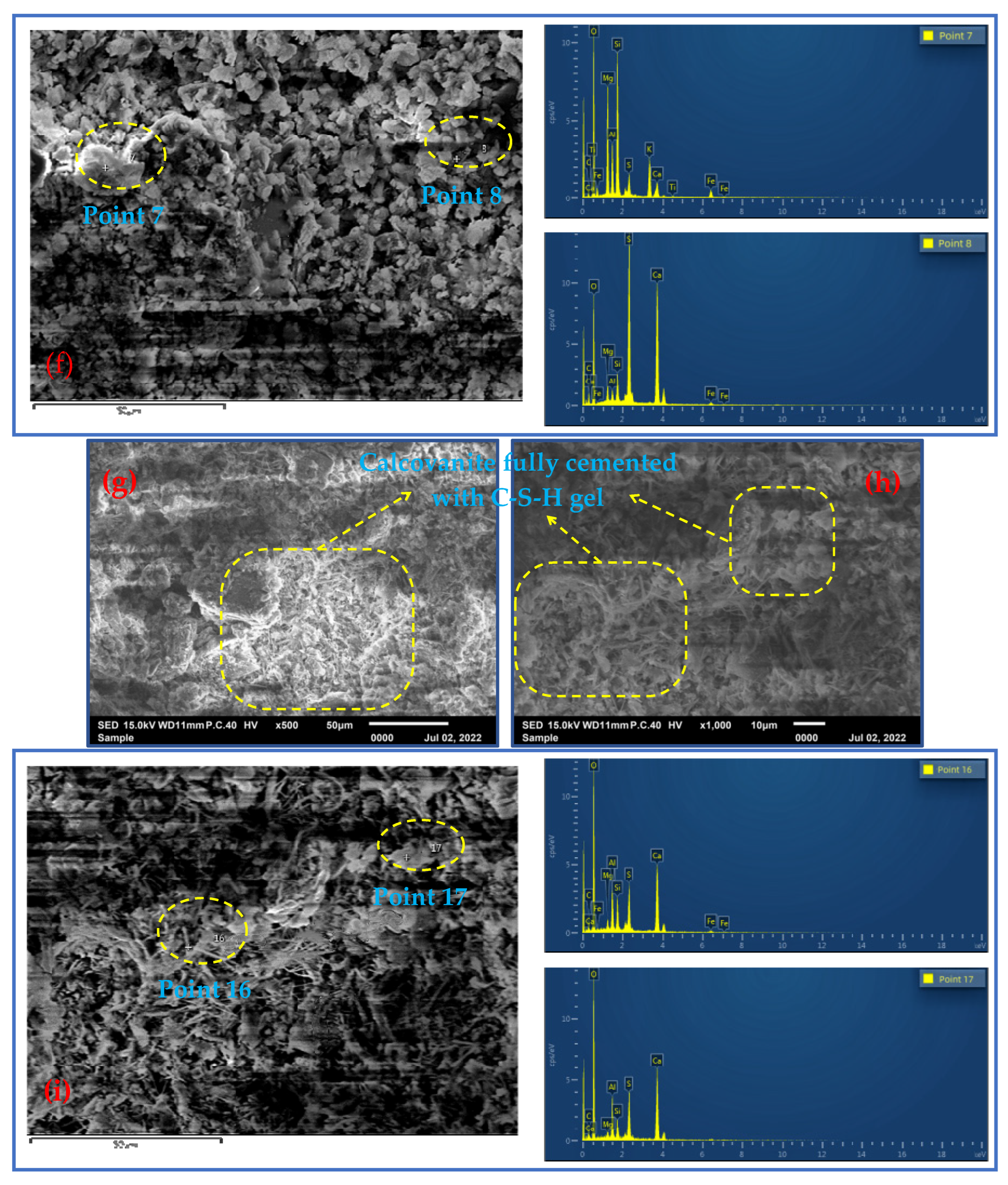 Molecules 29 00996 g005b
