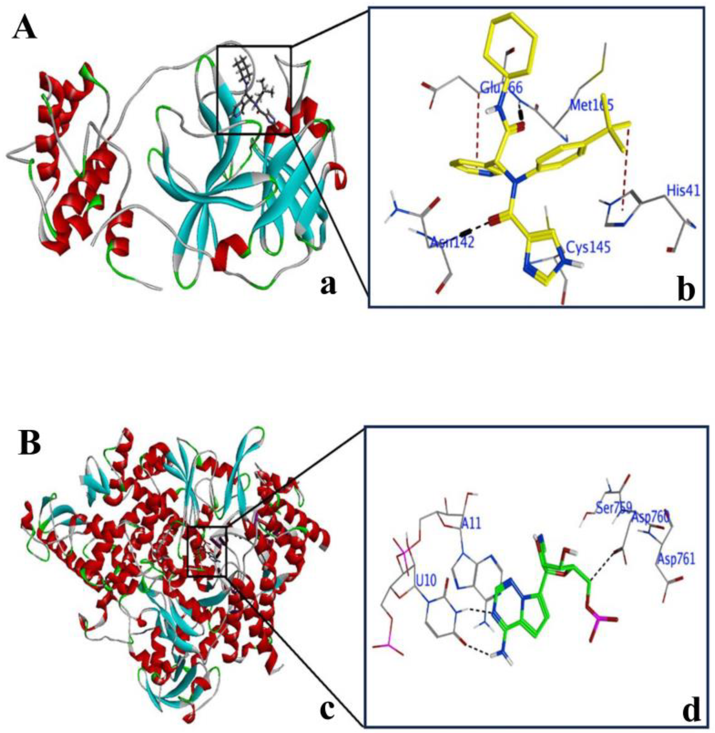 Molecules 29 00998 g002