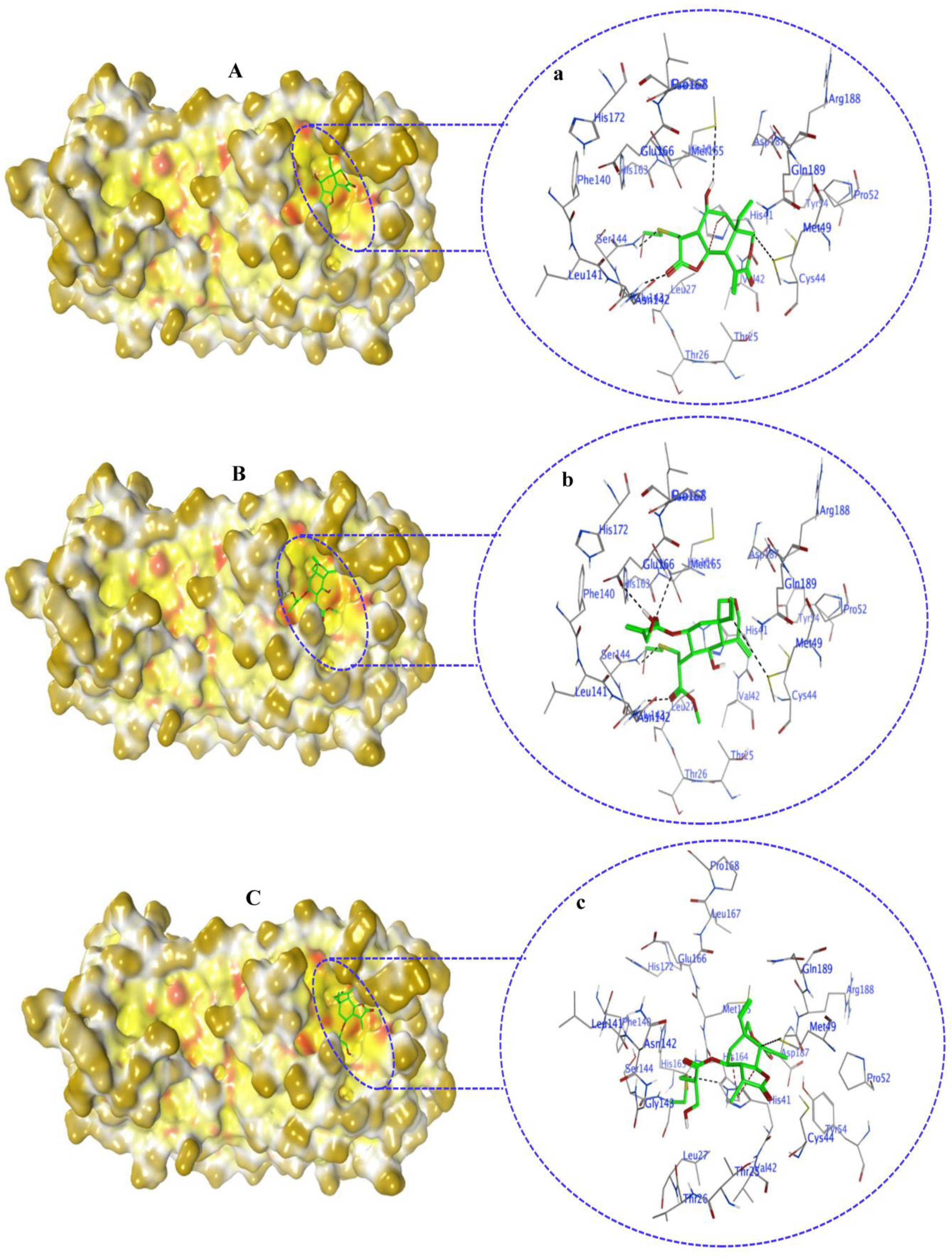 Molecules 29 00998 g007