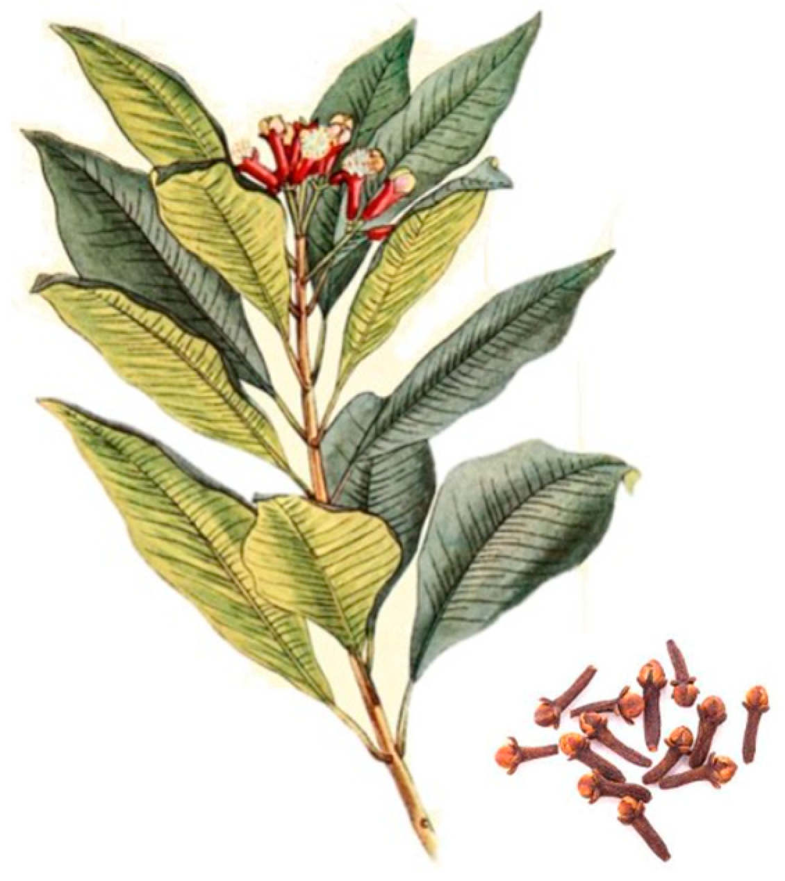 Molecules 29 00999 g001