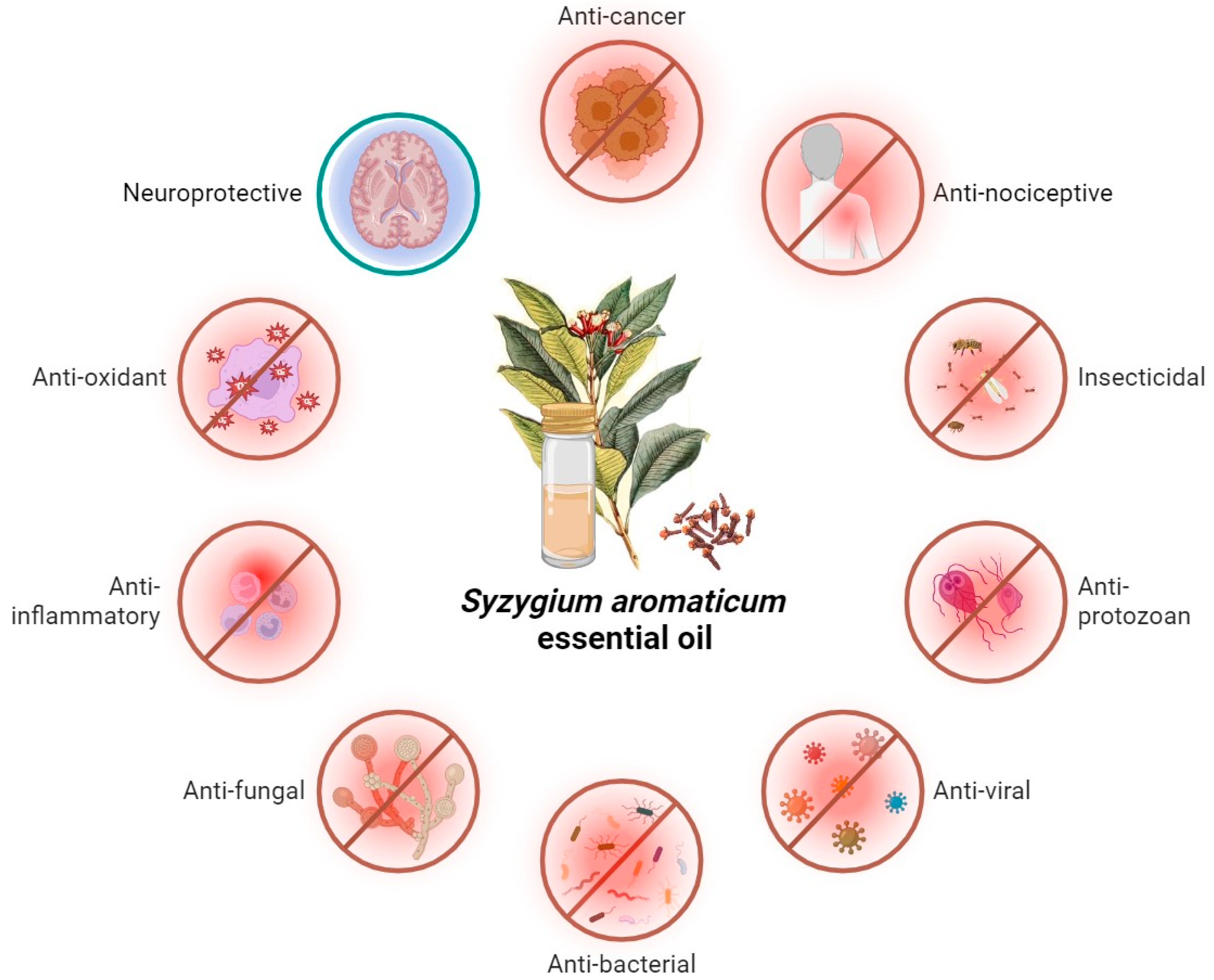 Molecules 29 00999 g003