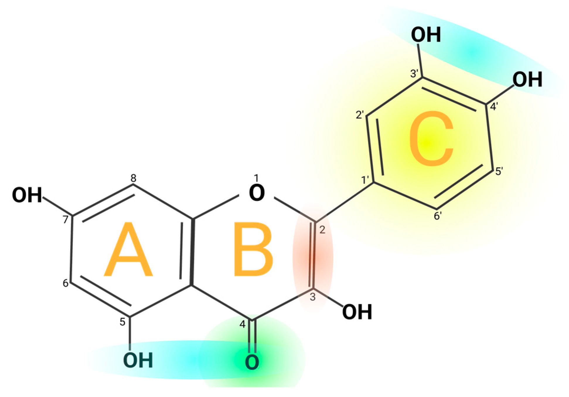 Molecules 29 01000 g002 Molecules 29 01000 g002