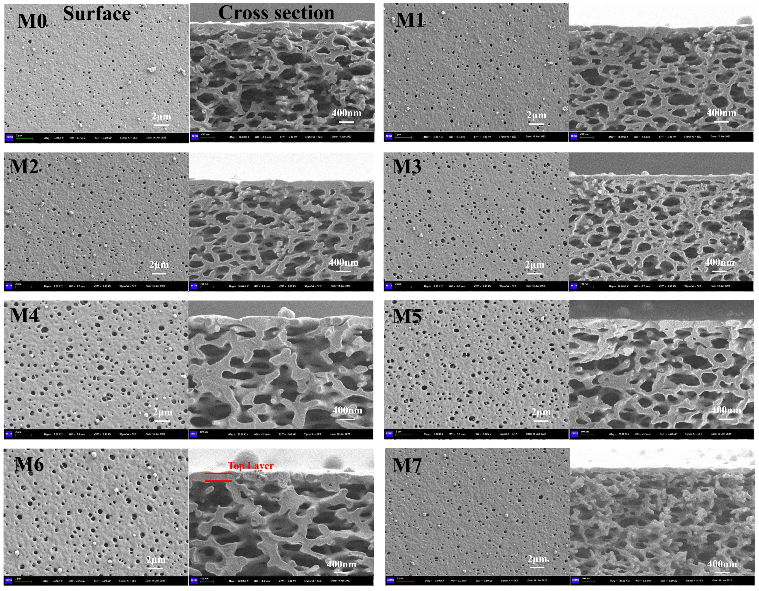 Molecules 29 01001 g001
