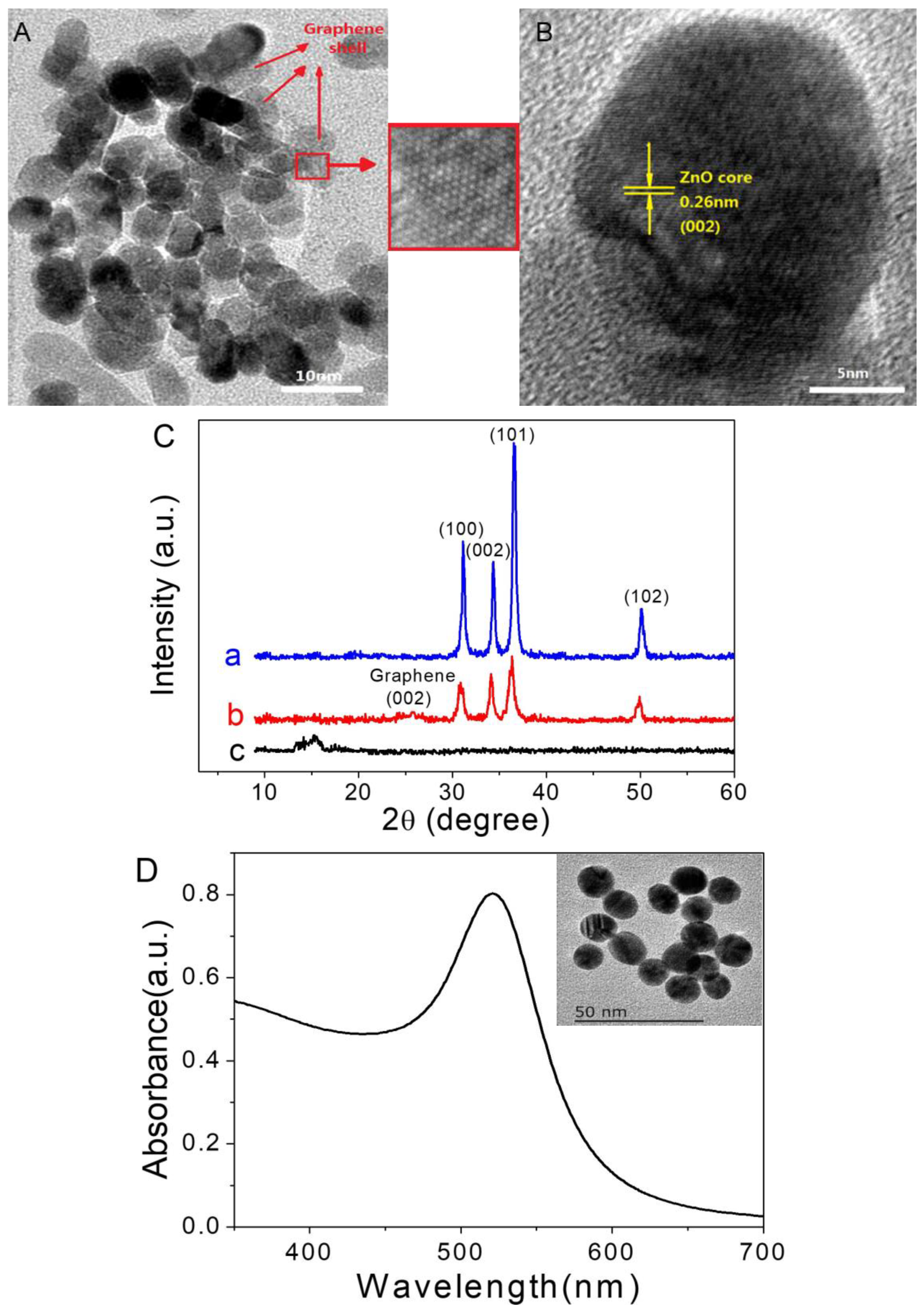 Molecules 29 01002 g001