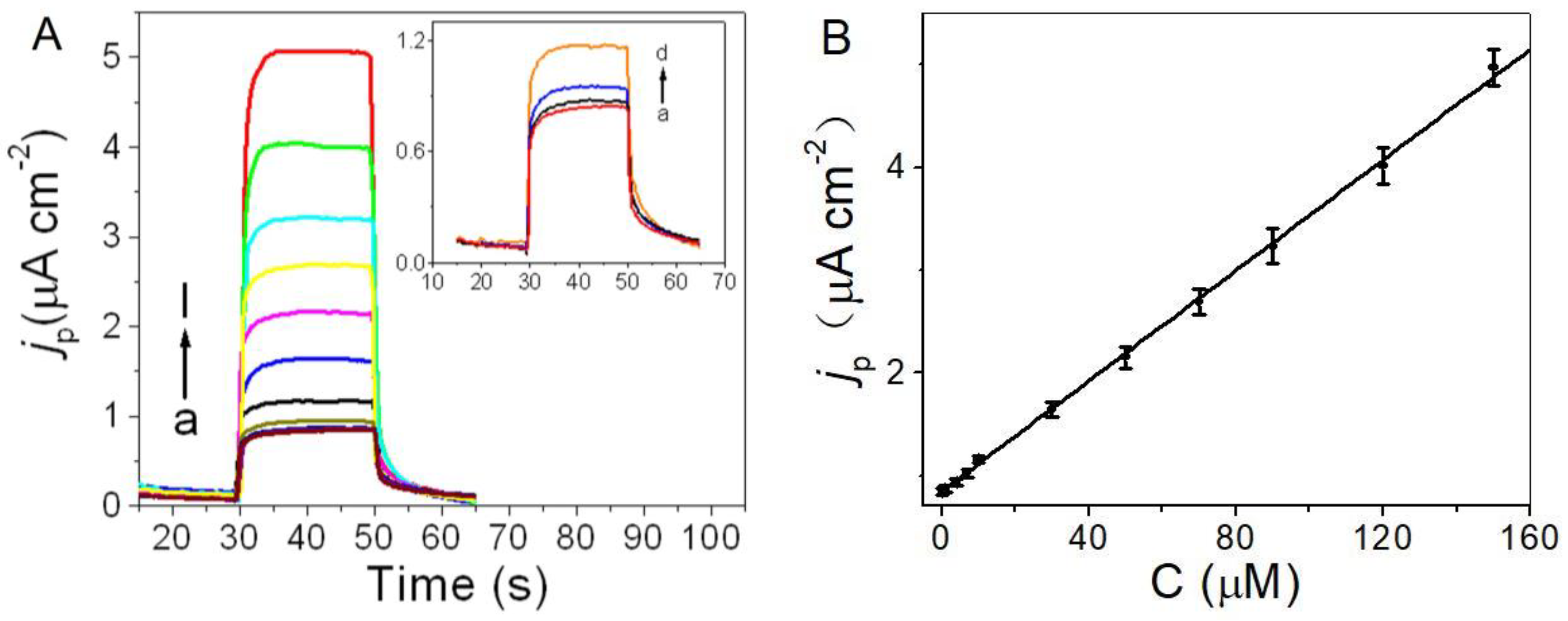 Molecules 29 01002 g004