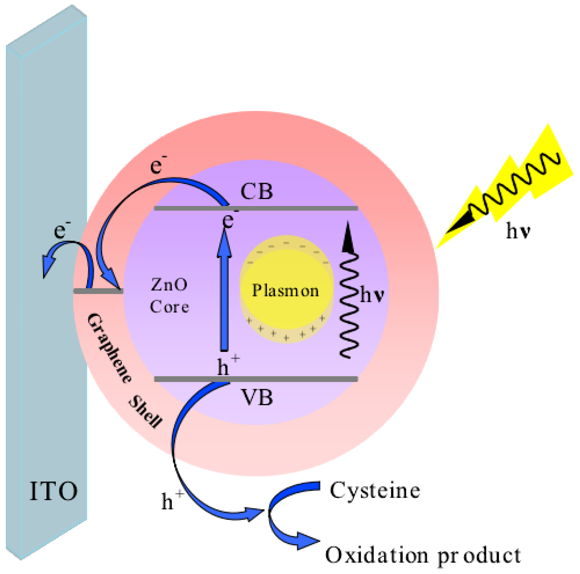 Molecules 29 01002 sch001