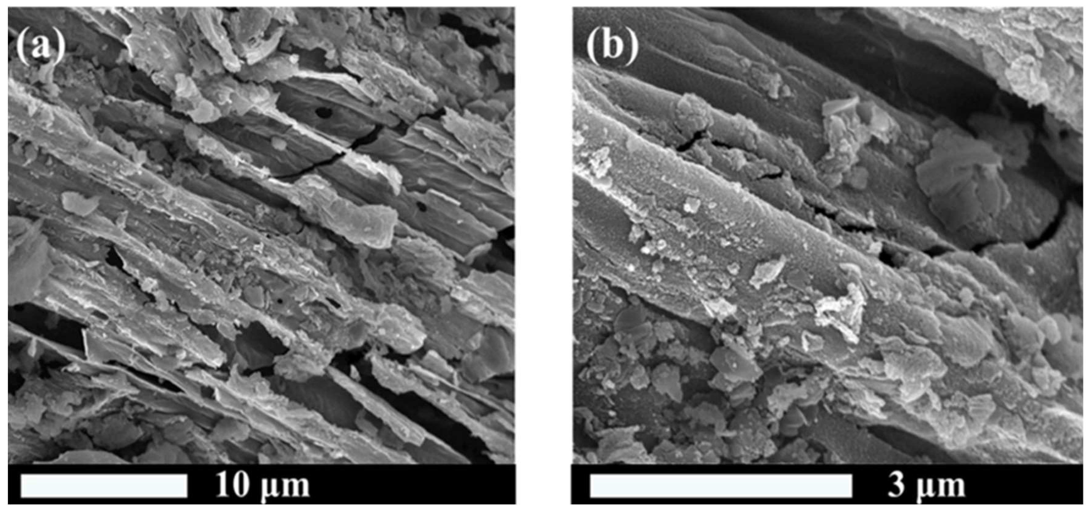 Molecules 29 01005 g006