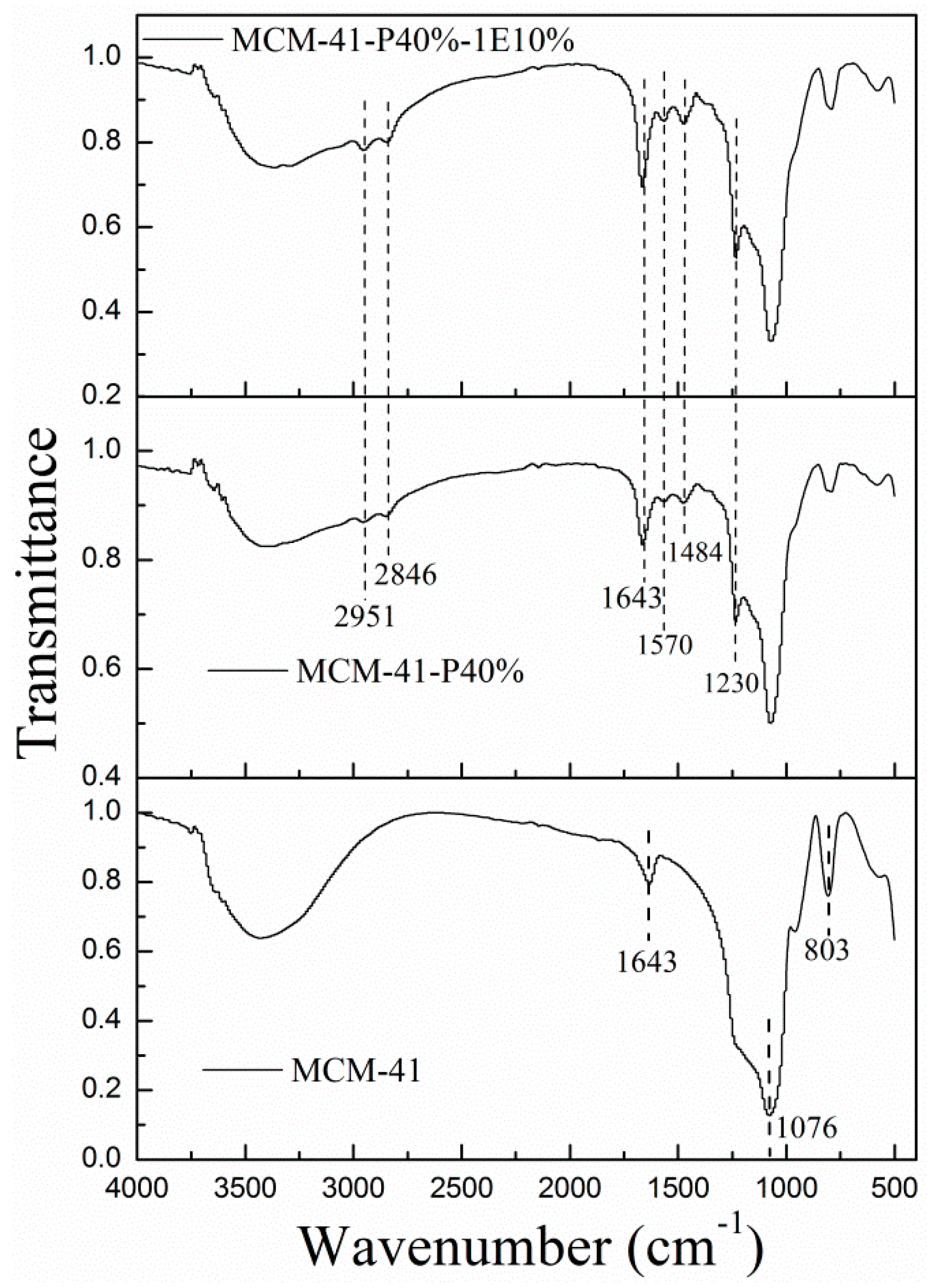 Molecules 29 01006 g002