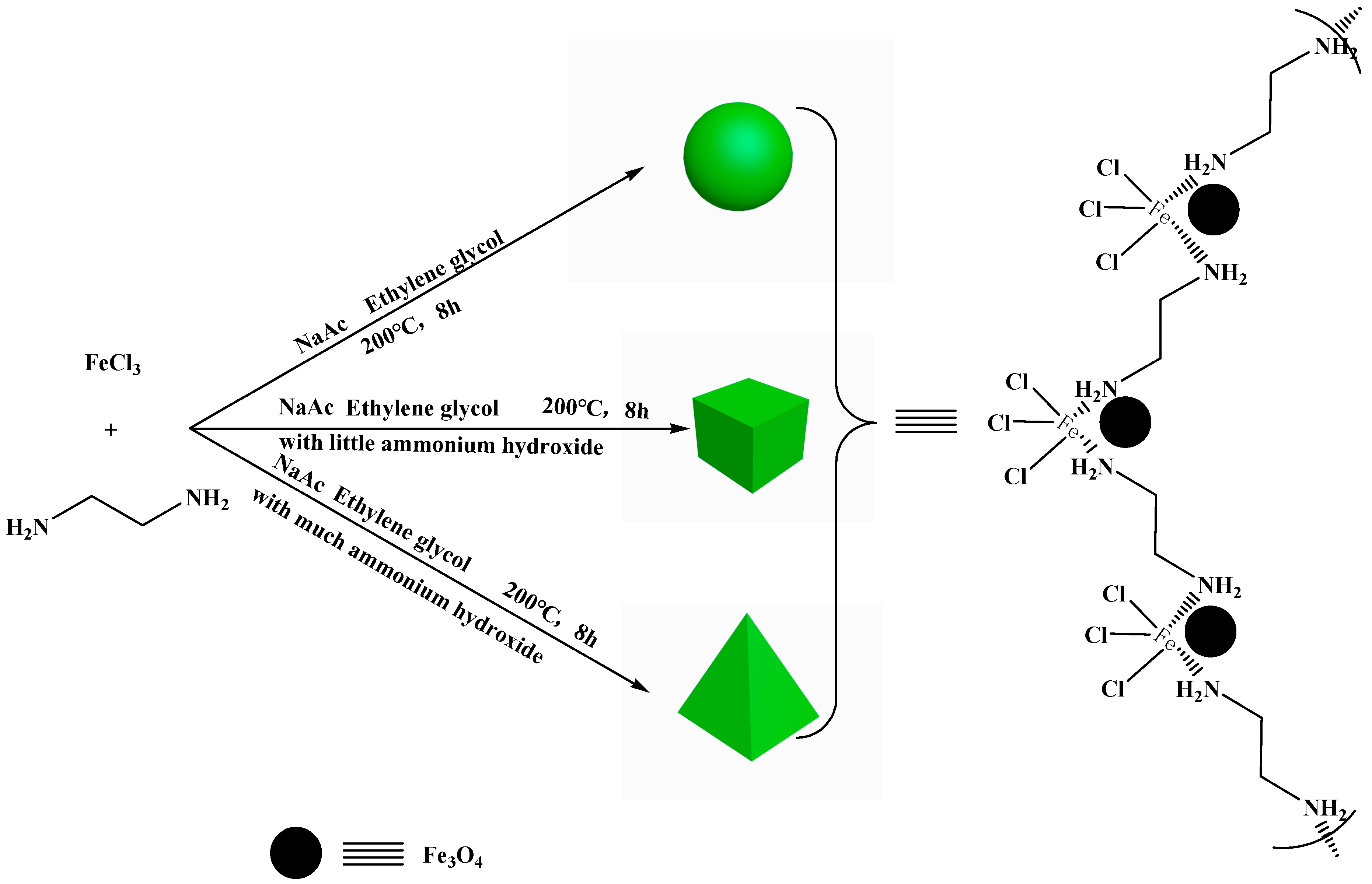 Molecules 29 01007 g011