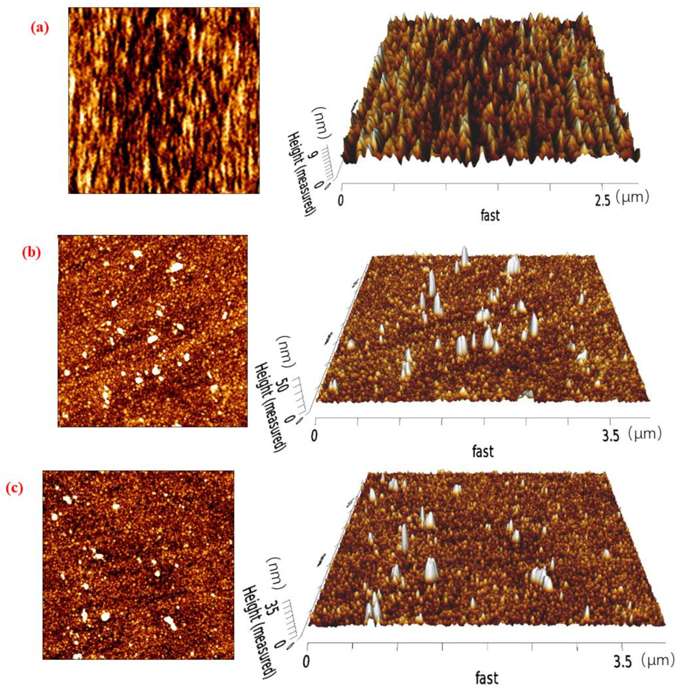 Molecules 29 01034 g007