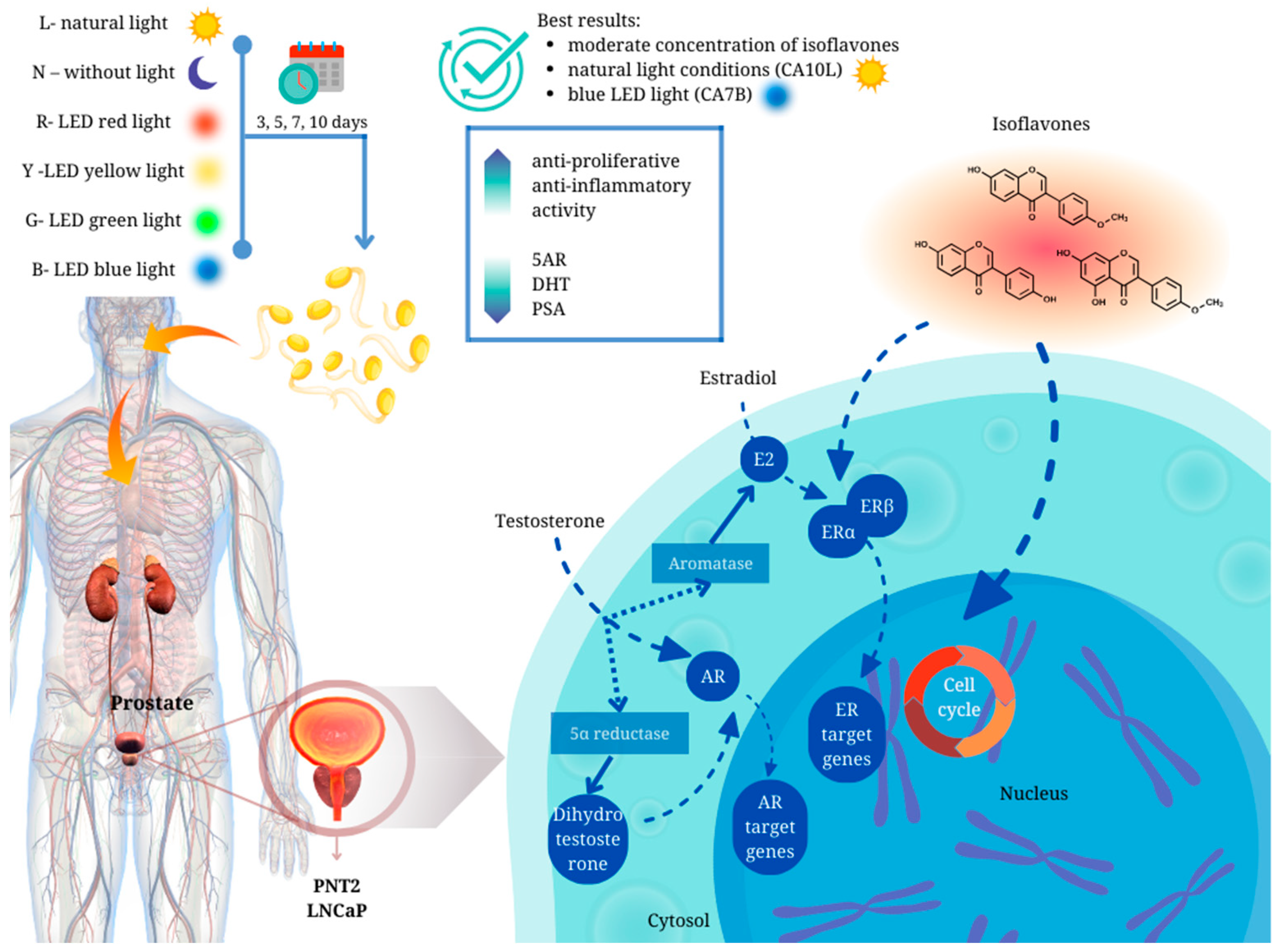 Molecules 29 01044 g005 Molecules 29 01044 g005