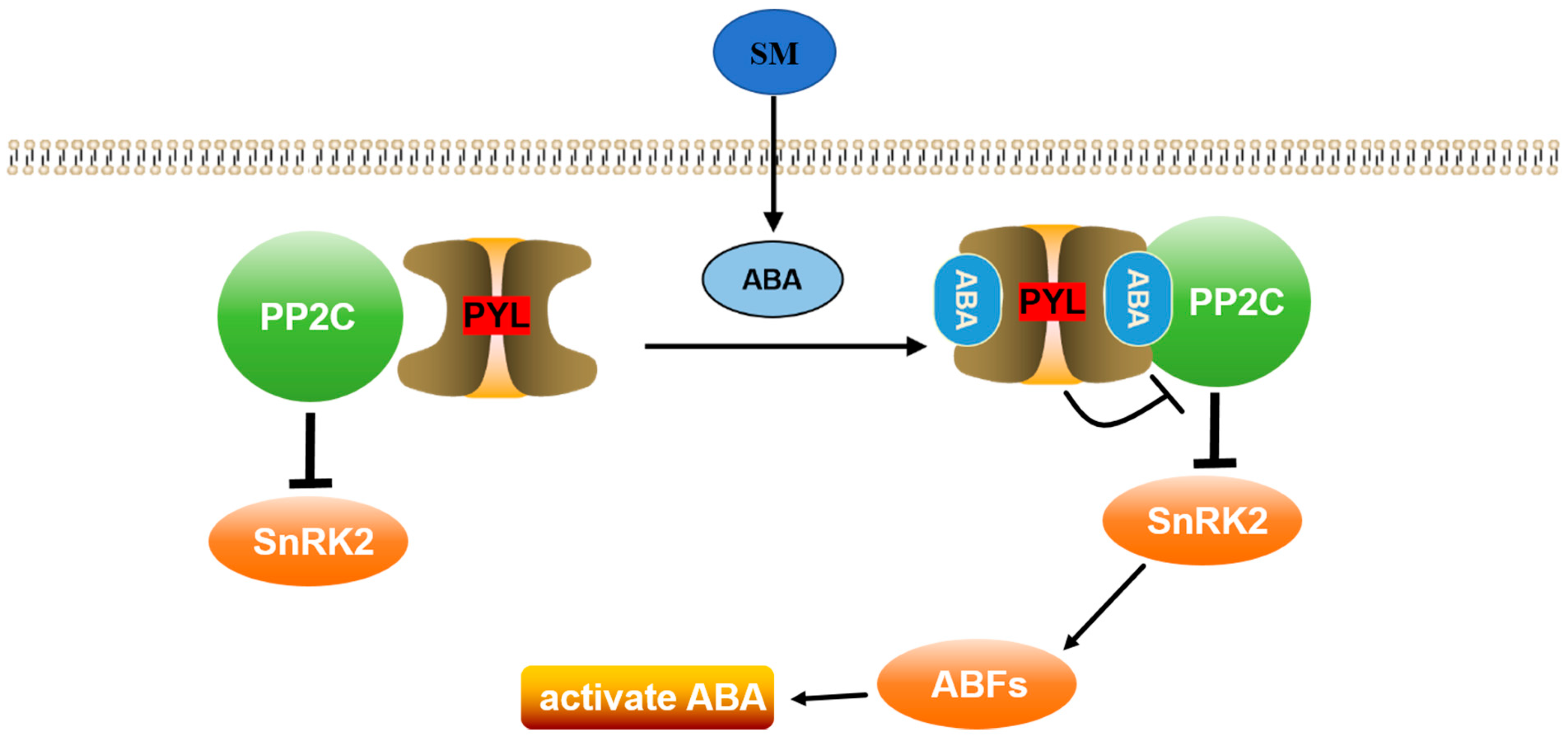Molecules 29 01045 g008