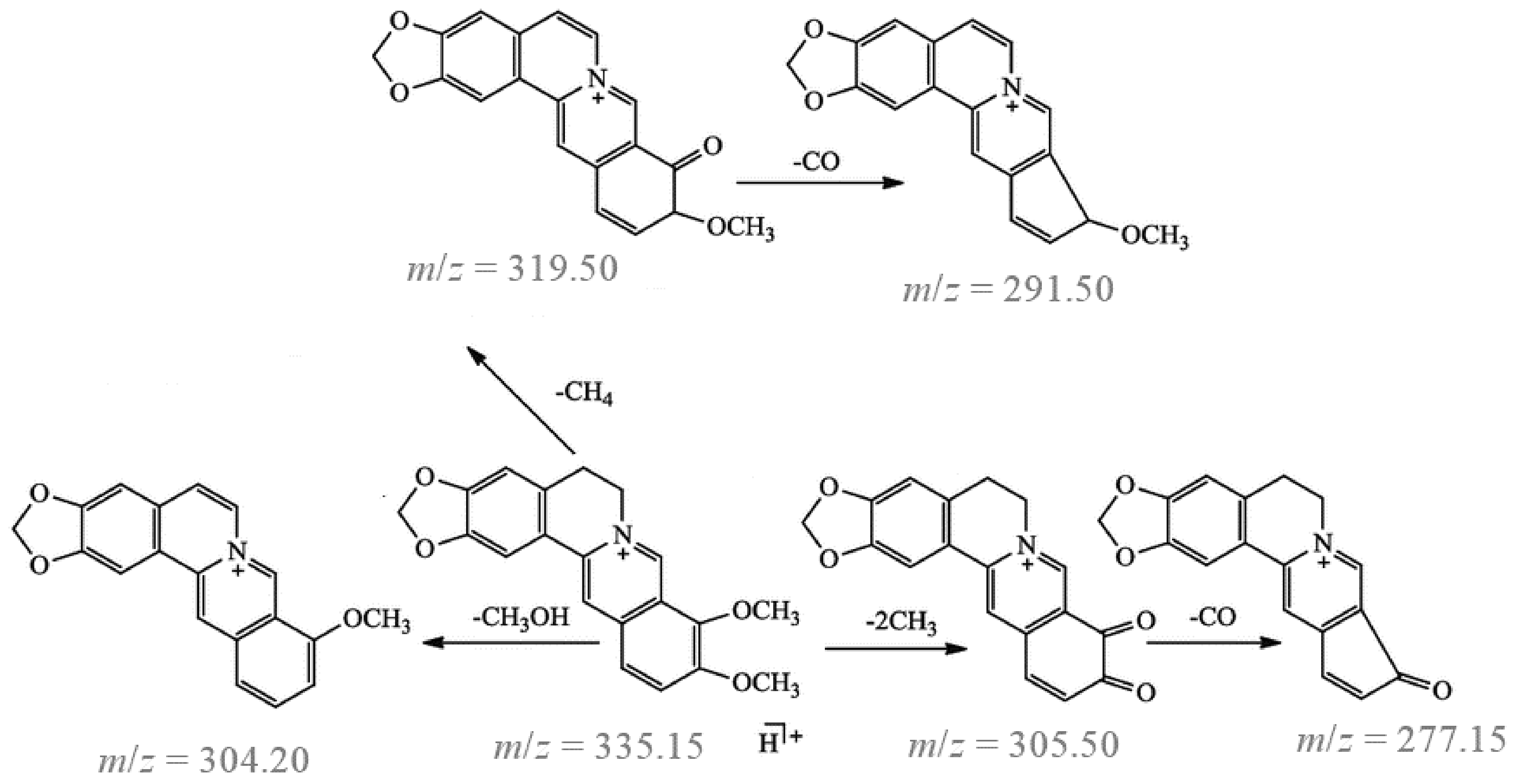 Molecules 29 01048 g004