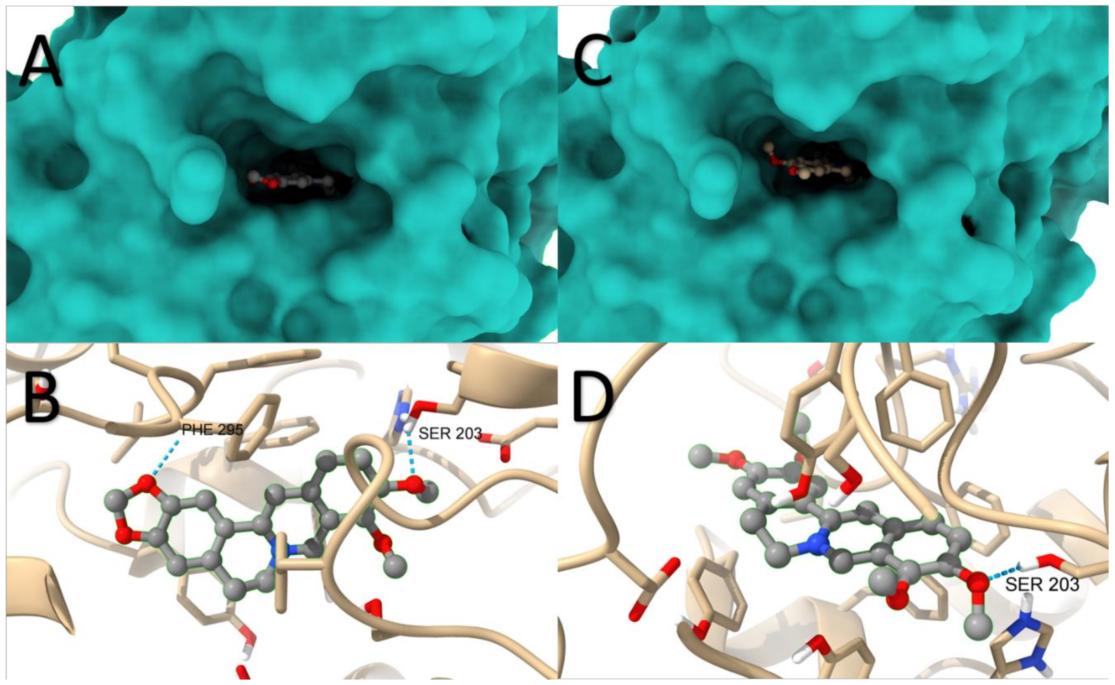 Molecules 29 01048 g009