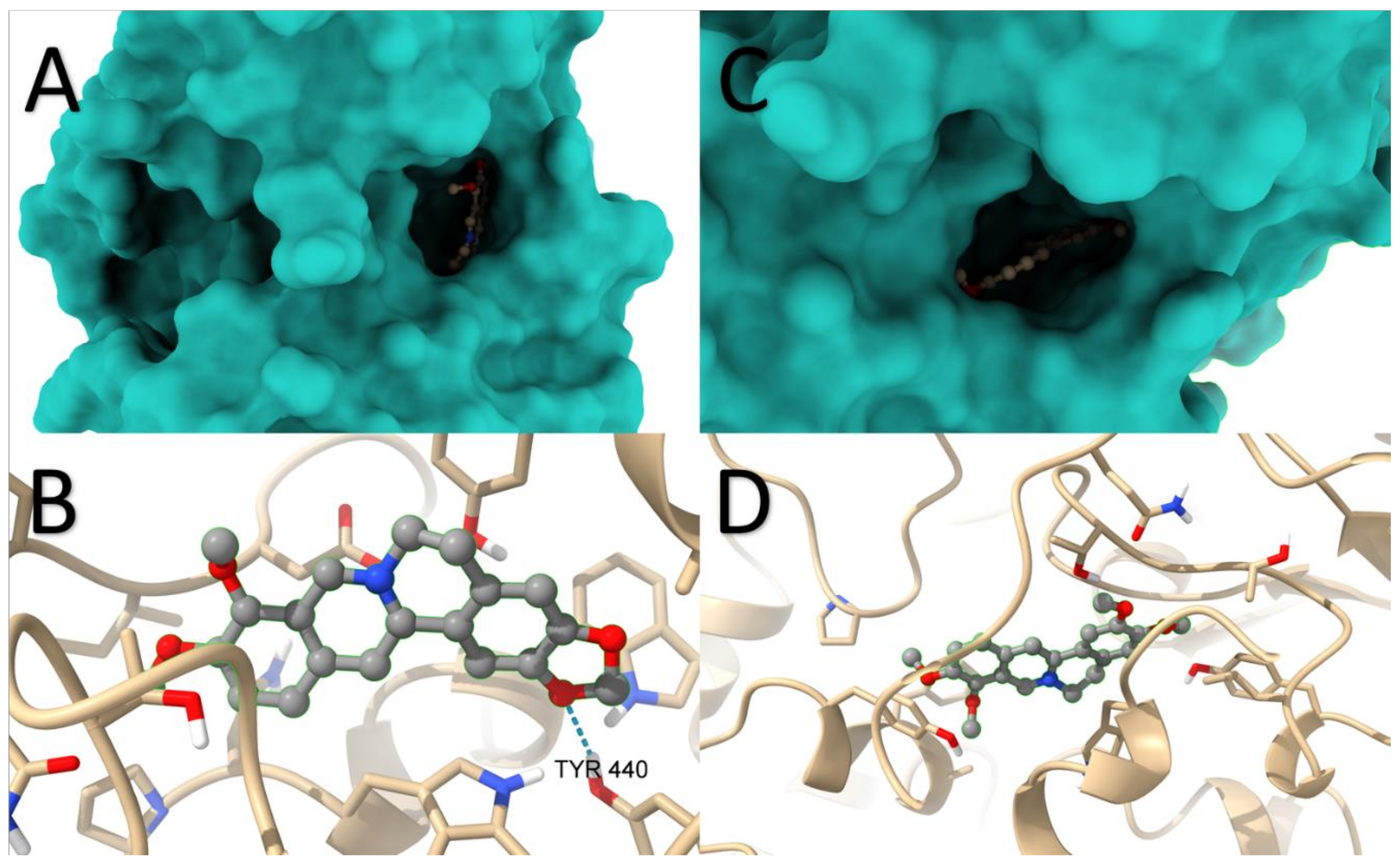Molecules 29 01048 g010