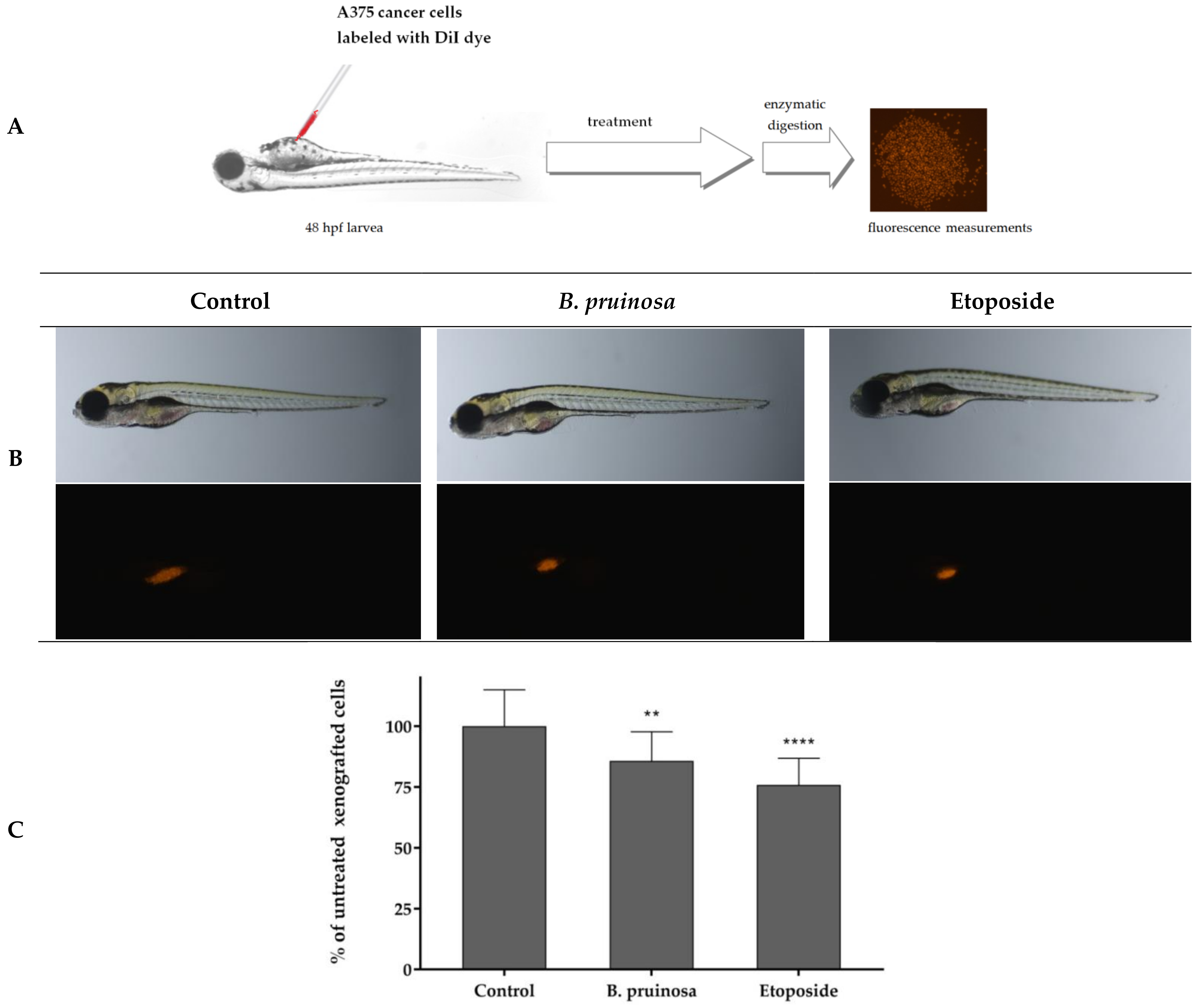 Molecules 29 01048 g012