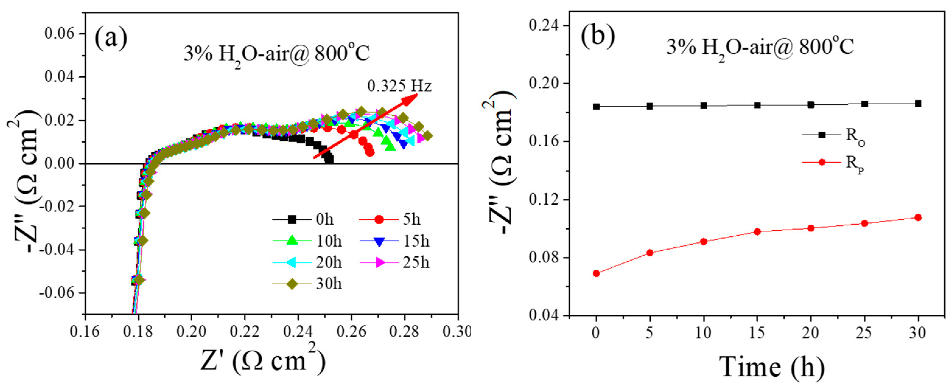 Molecules 29 01063 g002