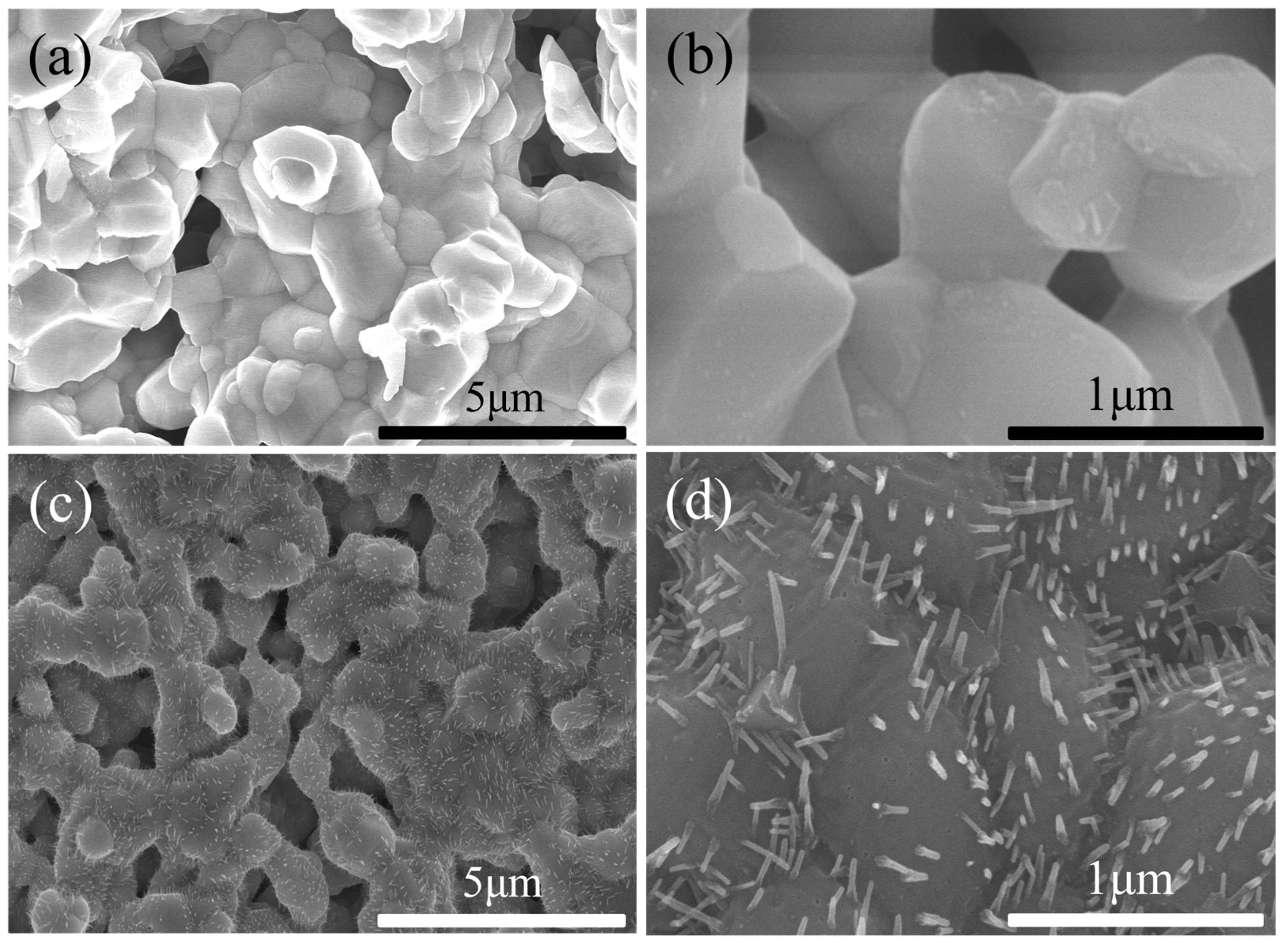 Molecules 29 01063 g005