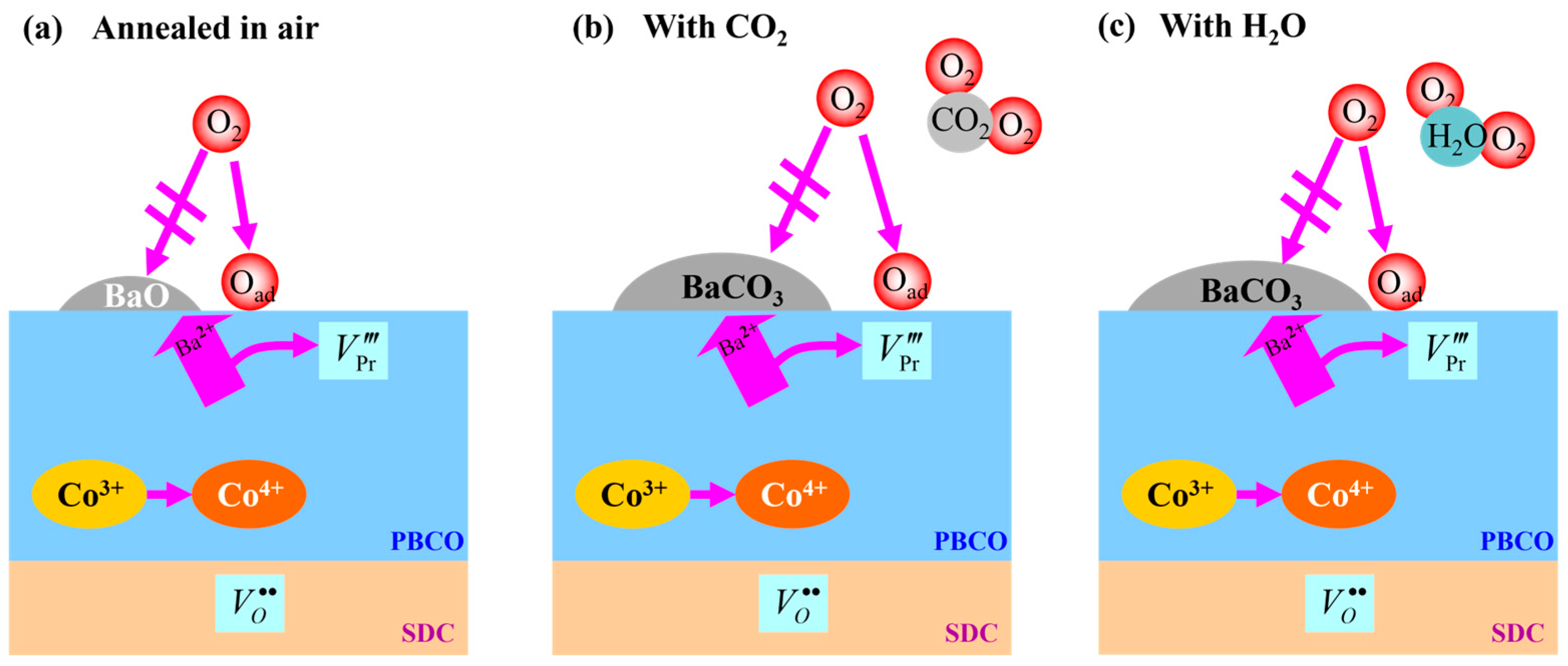 Molecules 29 01063 g009